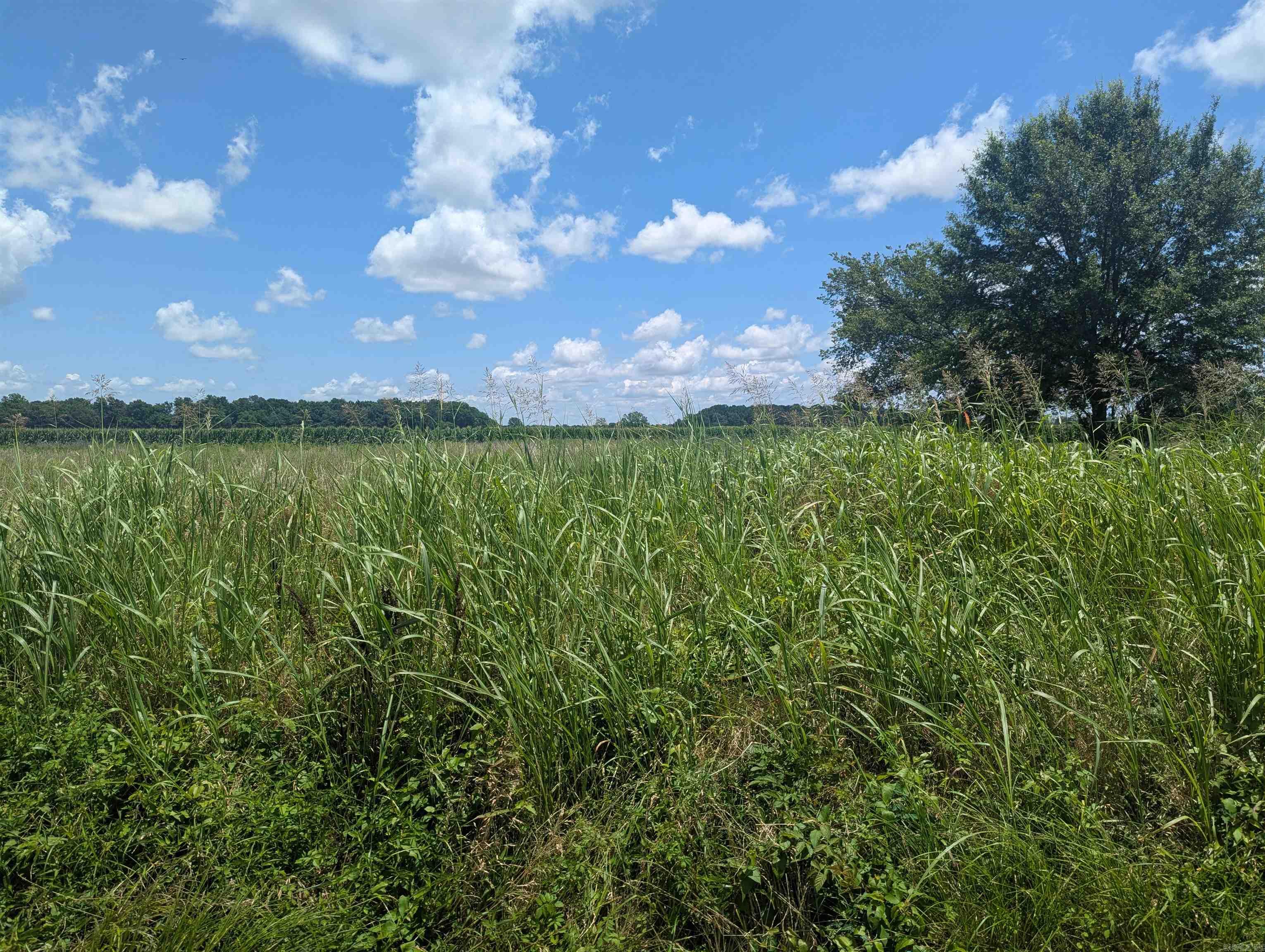 Ready to build in the country? Give me a call.