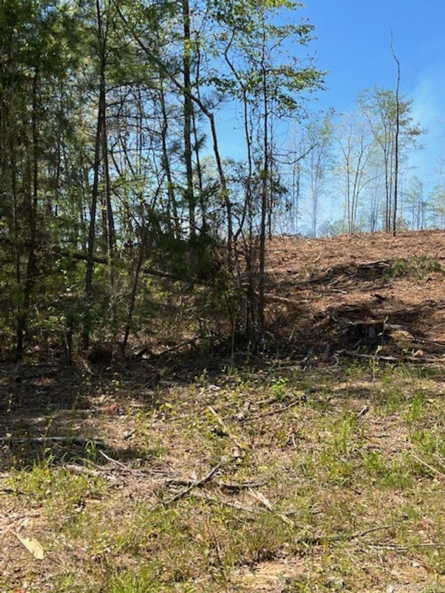 Beautiful Homesite Available!  Partially cleared, ridge top views, Hwy 84 road frontage with utilities at the road. Lenox Marcus Recreation Area on Lake Degray is only a few miles away.  Deed Restriction calls for site built home. Tract E