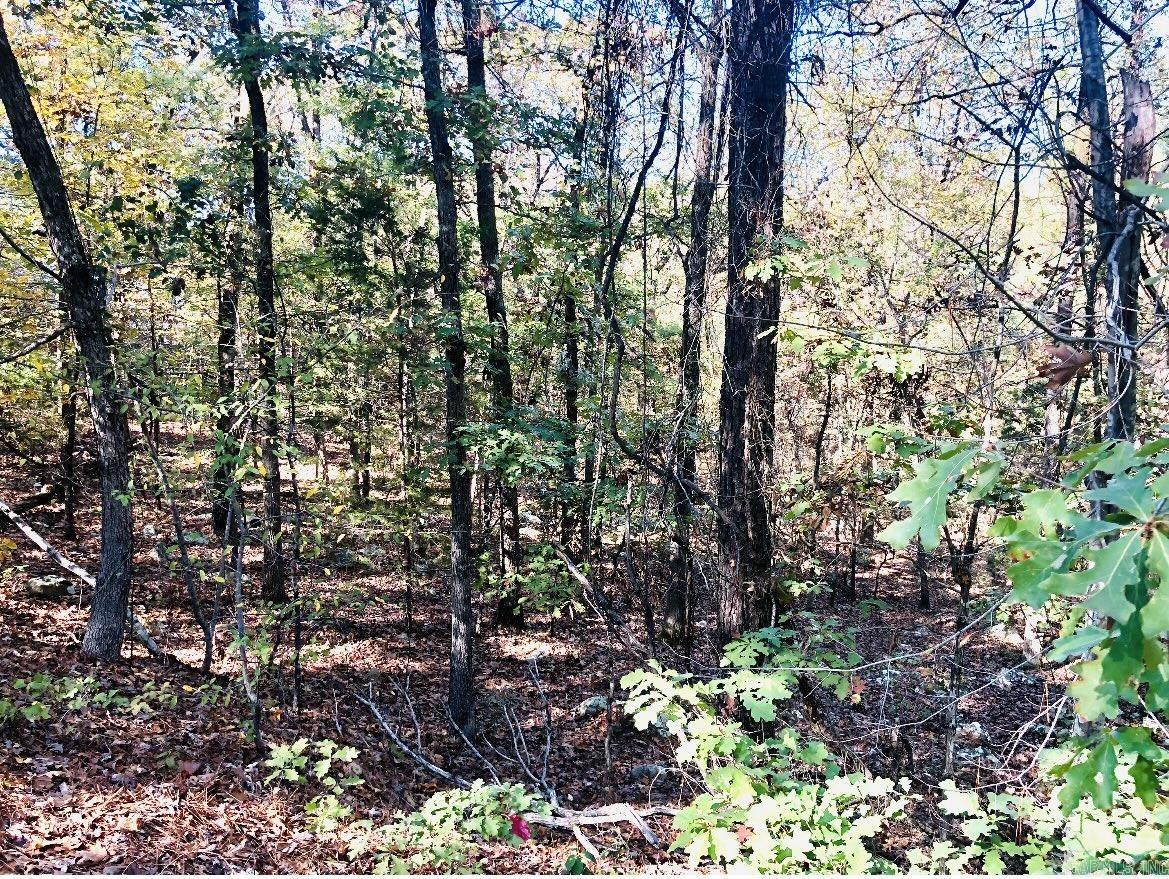 Maumelle Heights - Land