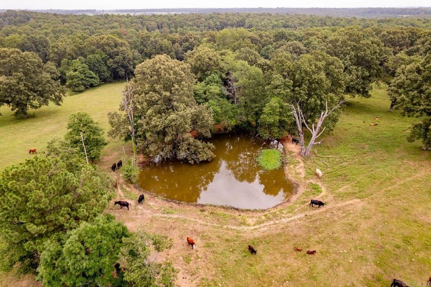 Nestled just 12 miles from the picturesque Mammoth Spring and a mere 14 miles from the charming town of Hardy, this 24 acres m/l near Wirth, Arkansas offers more than just rustic charm.  With its idyllic location in close proximity to both Mammoth Spring and Hardy, you can enjoy the best of both worlds—secluded rural living and convenient access to nearby attractions, shops, and restaurants. Immerse yourself in the serenity of this recreational retreat and envision the possibilities of owning your own slice of countryside paradise. This 24 acres m/l tract of land also features a pond. This property is agent owned.