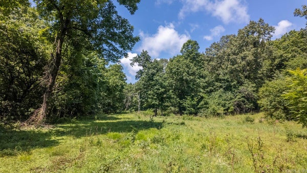79 UPPER JANES CREEK RD, RAVENDEN SPRINGS, AR 72460 - Image d9ac9f9da60ddf0081faa25f42f93d2e/2960228579