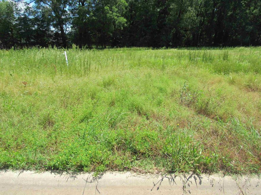 MORRILTON'S NEWEST SUBDIVISION!! ONLY 14 PREMIUM LOTS LEFT!  COME PICK YOURS TODAY.  RESTRICTIVE COVENANTS AVAILABLE FOR YOU TO VIEW.