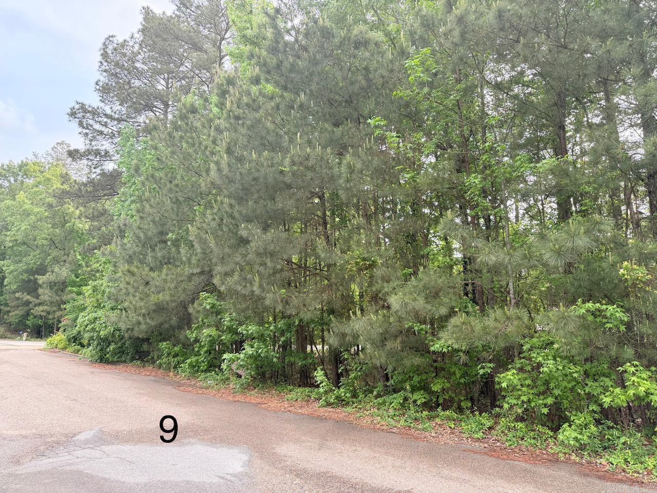 Discover the perfect spot to build your dream home in the desirable University Heights Subdivision! This .29-acre lot offers a serene, setting in a quiet neighborhood, just minutes from the University of Arkansas at Monticello, local schools, hospitals, and shopping. With utilities readily available and a prime location, this lot is ideal for families, professionals, or investors. Priced to sell—don’t miss this opportunity to create your custom oasis in the heart of Monticello! Contact us today for details.