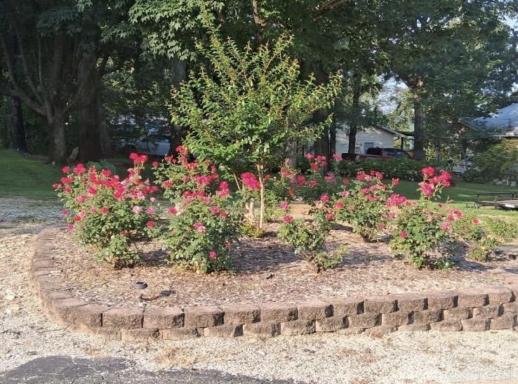 NORTH SHORE - Residential