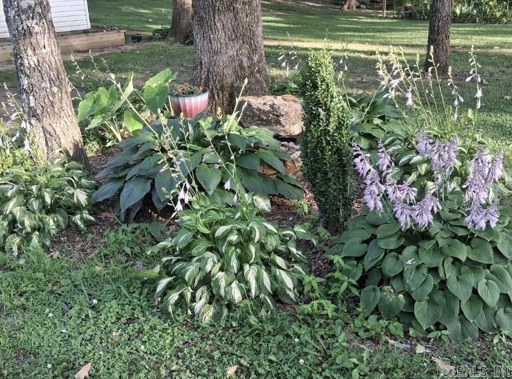 NORTH SHORE - Residential