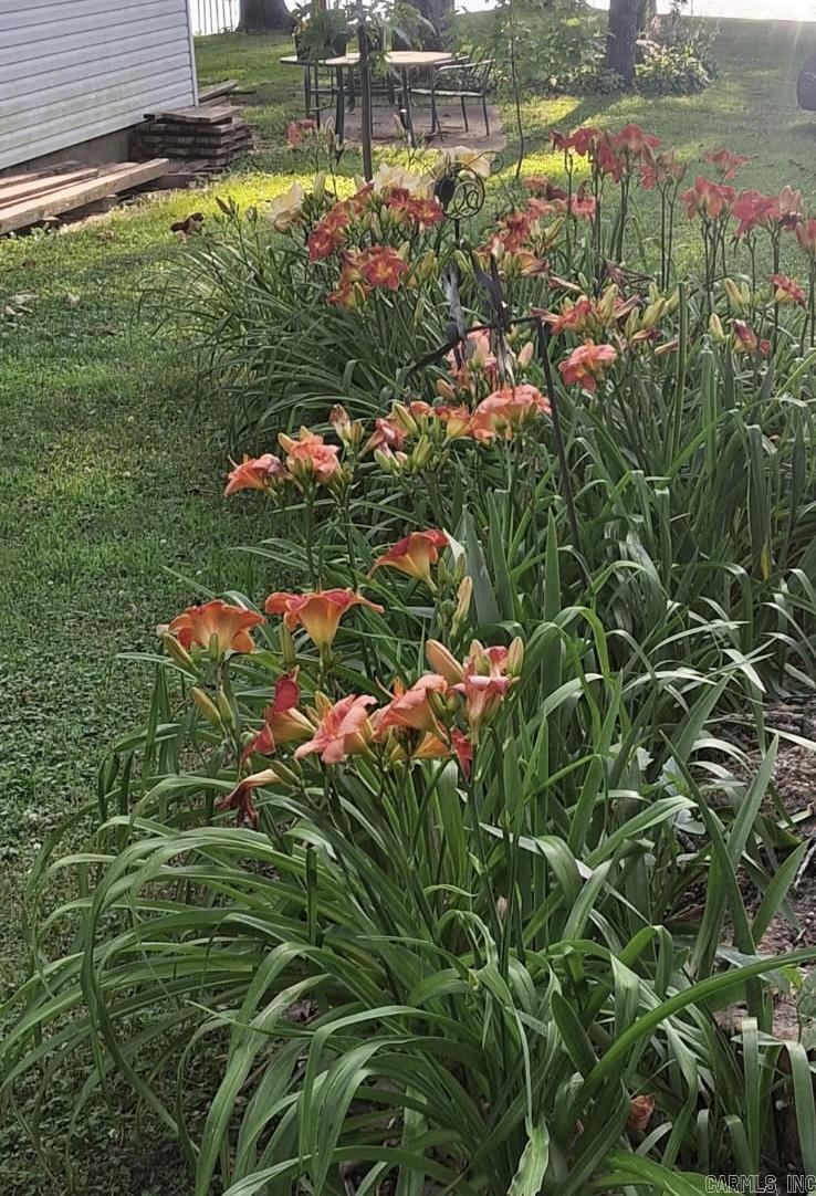 NORTH SHORE - Residential