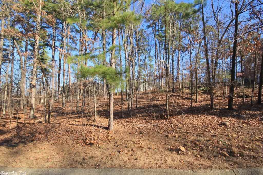 Pleasant Heights - Land