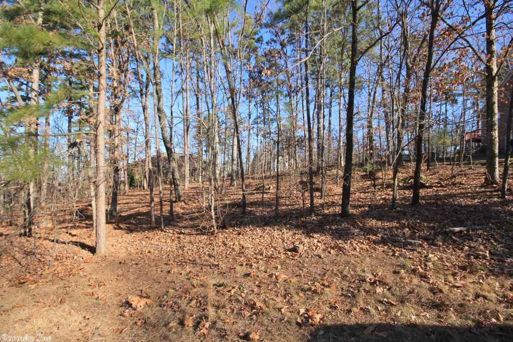 Pleasant Heights - Land