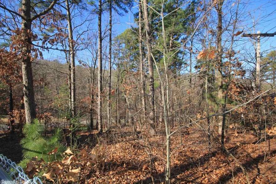 Really lovely wooded lot bought separately to give privacy.  Appraised at $40,000 on books.