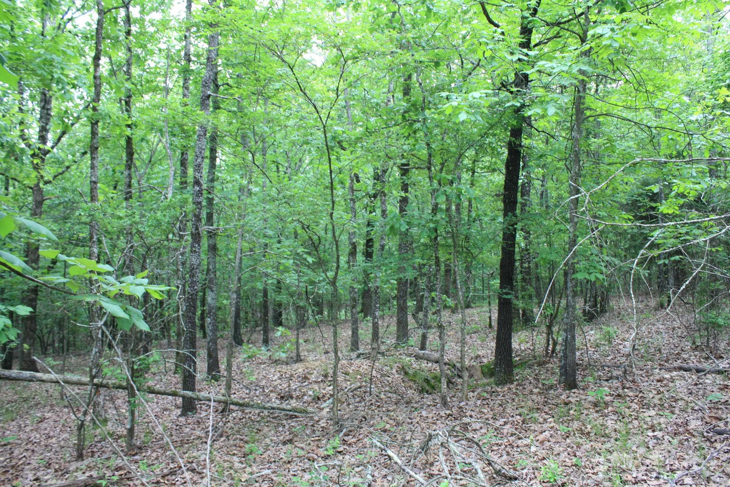 Not in Subdivision - Land