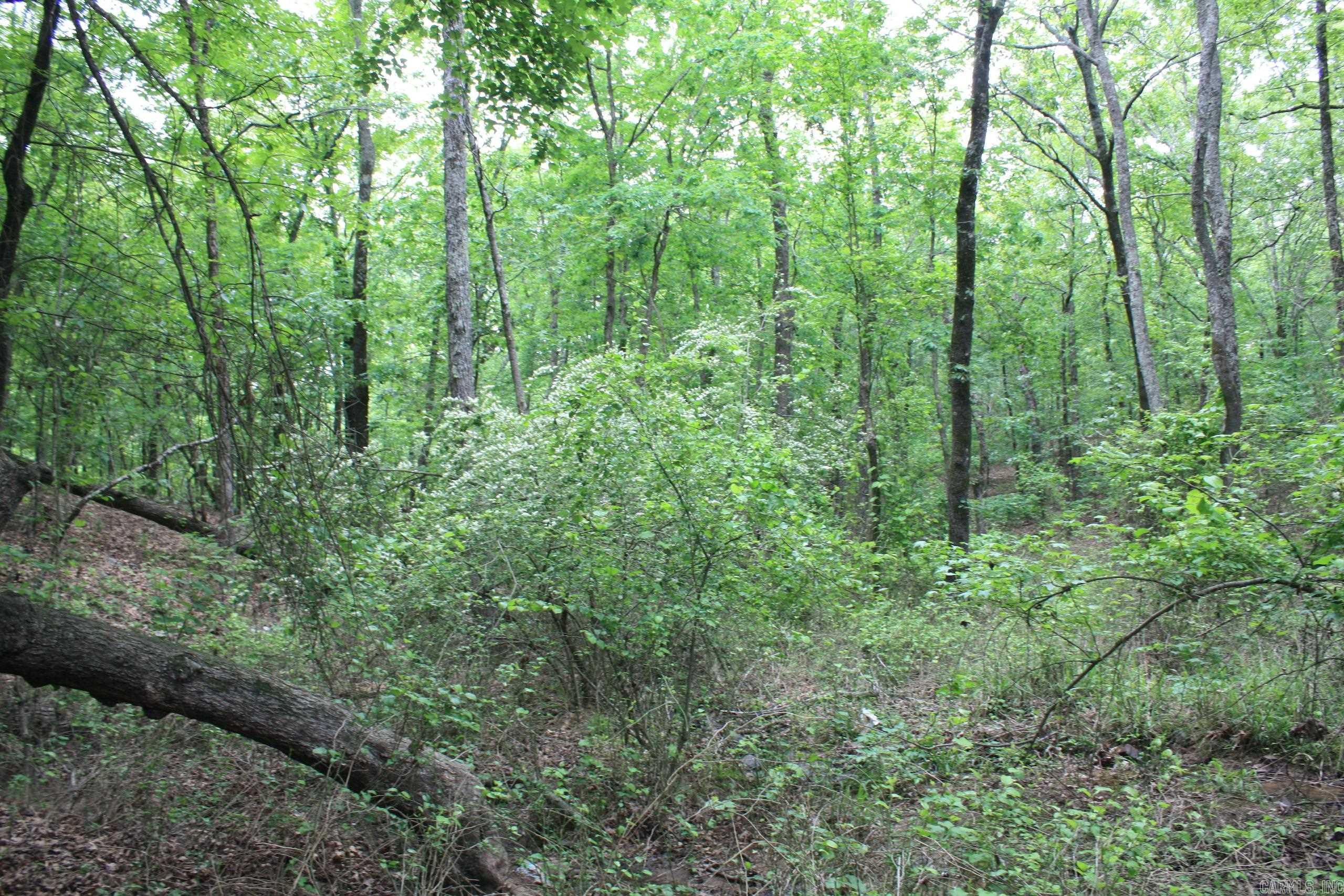 Not in Subdivision - Land