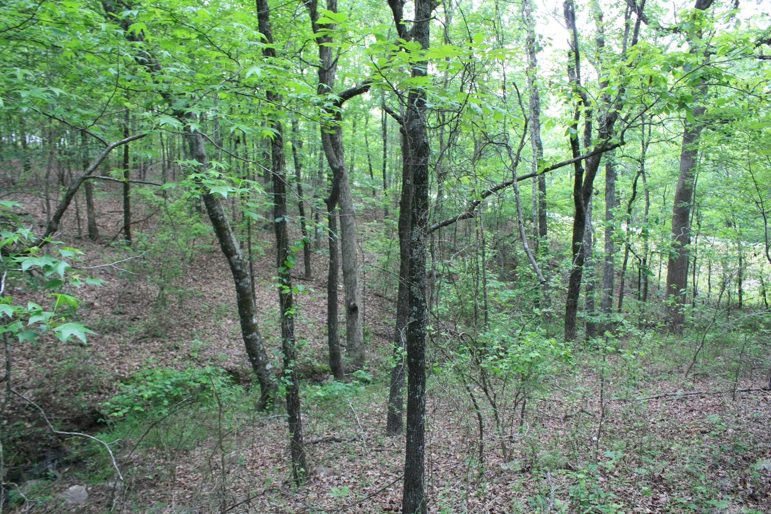 Not in Subdivision - Land