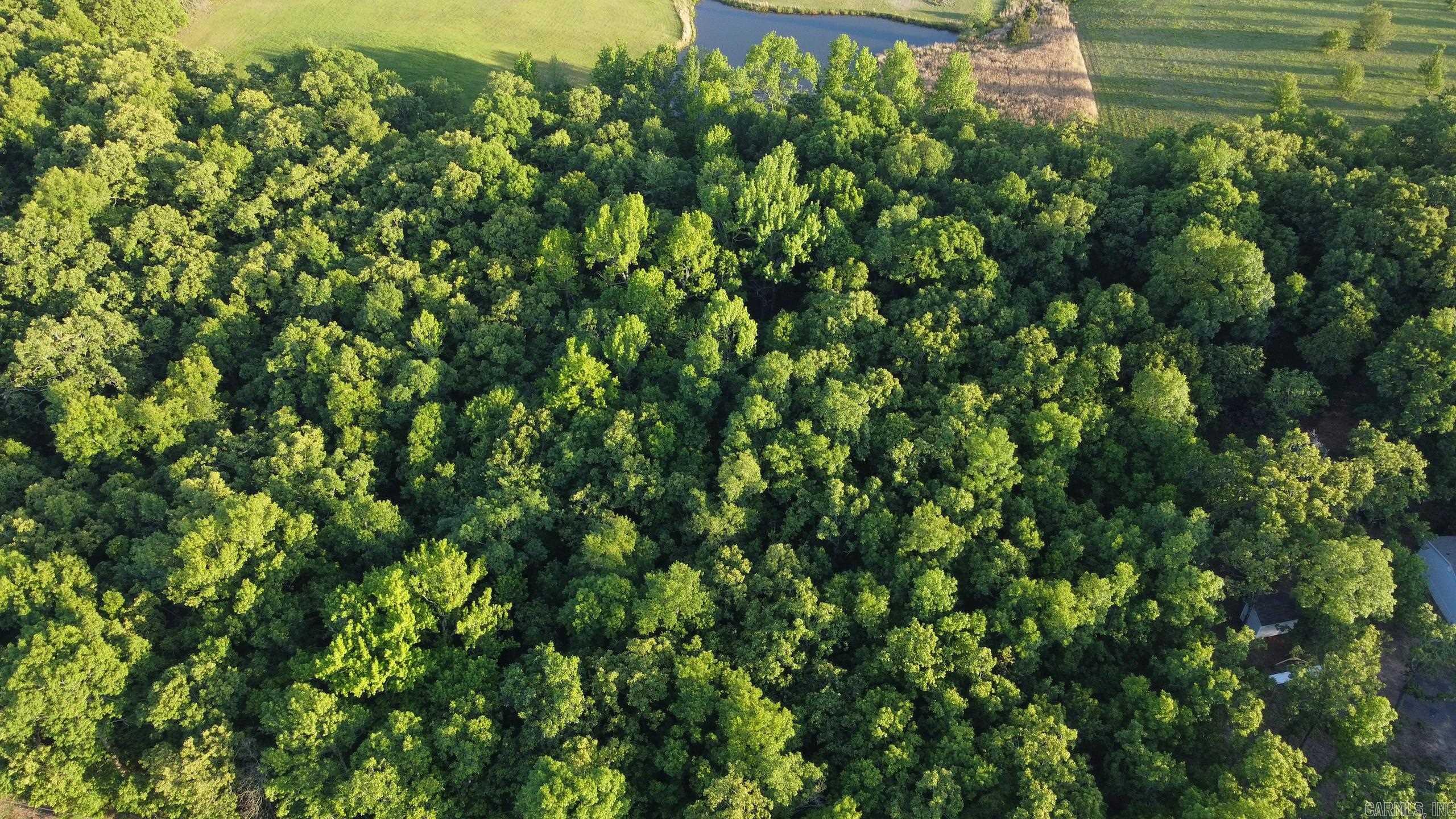 Not in Subdivision - Land