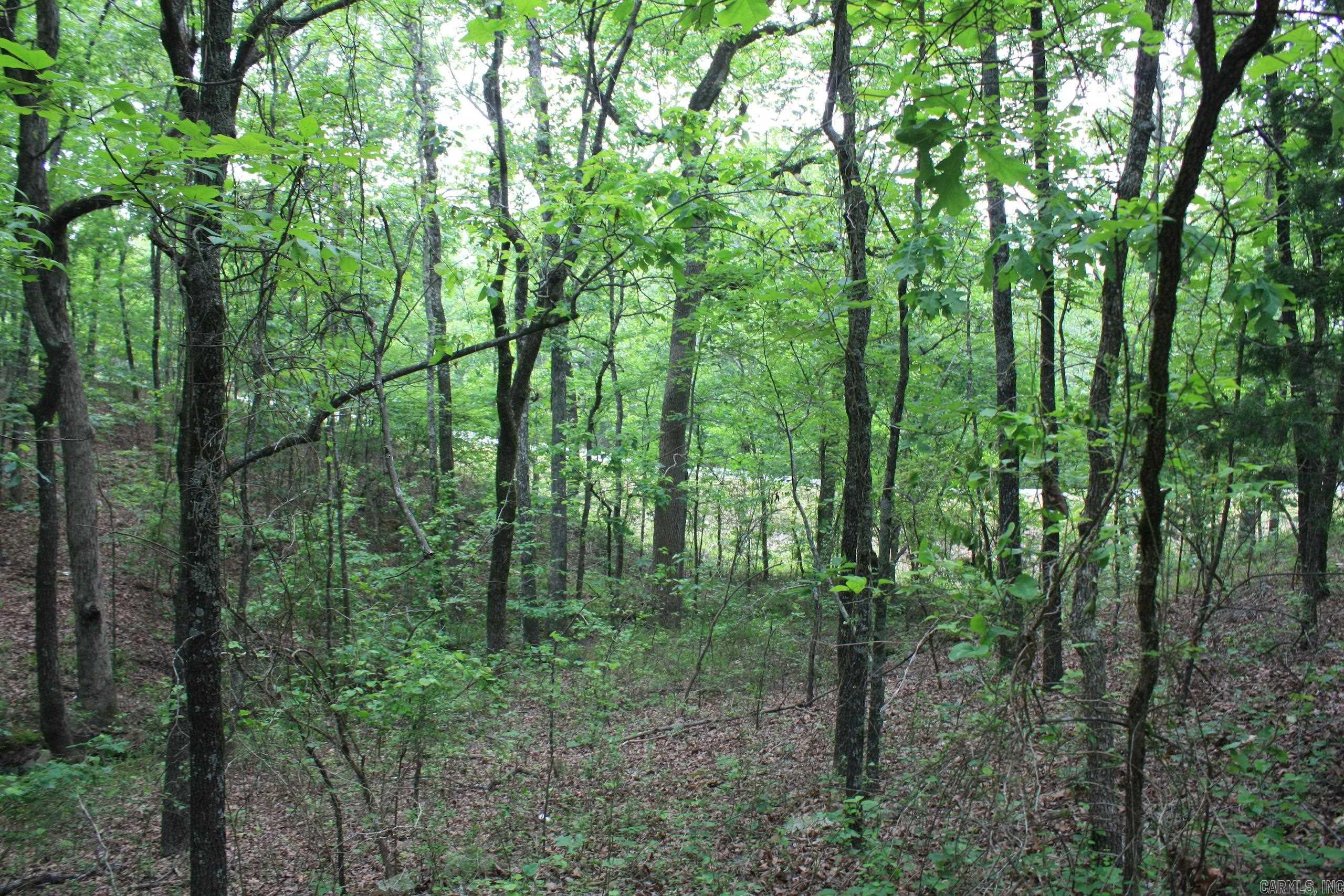 Not in Subdivision - Land