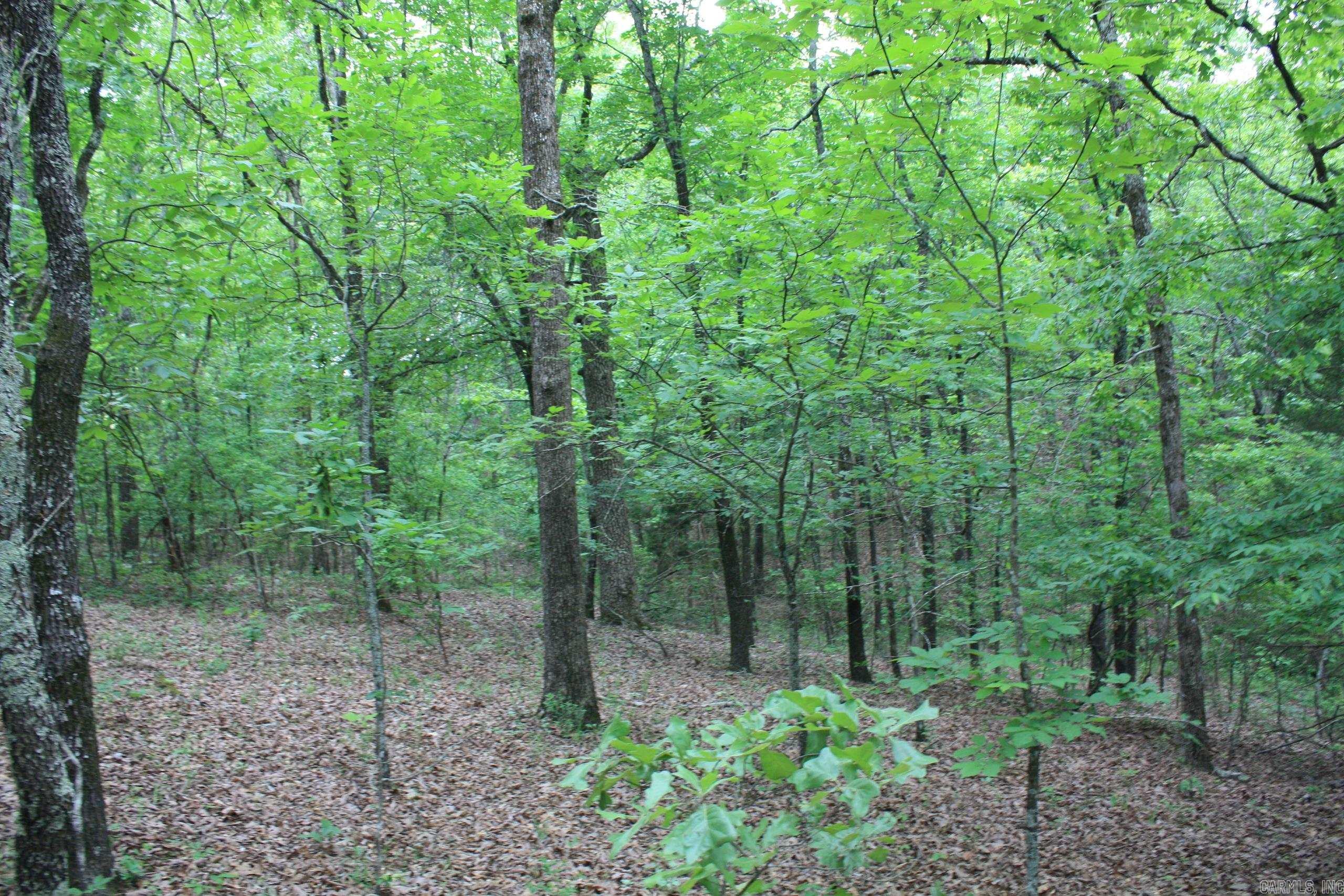 Not in Subdivision - Land