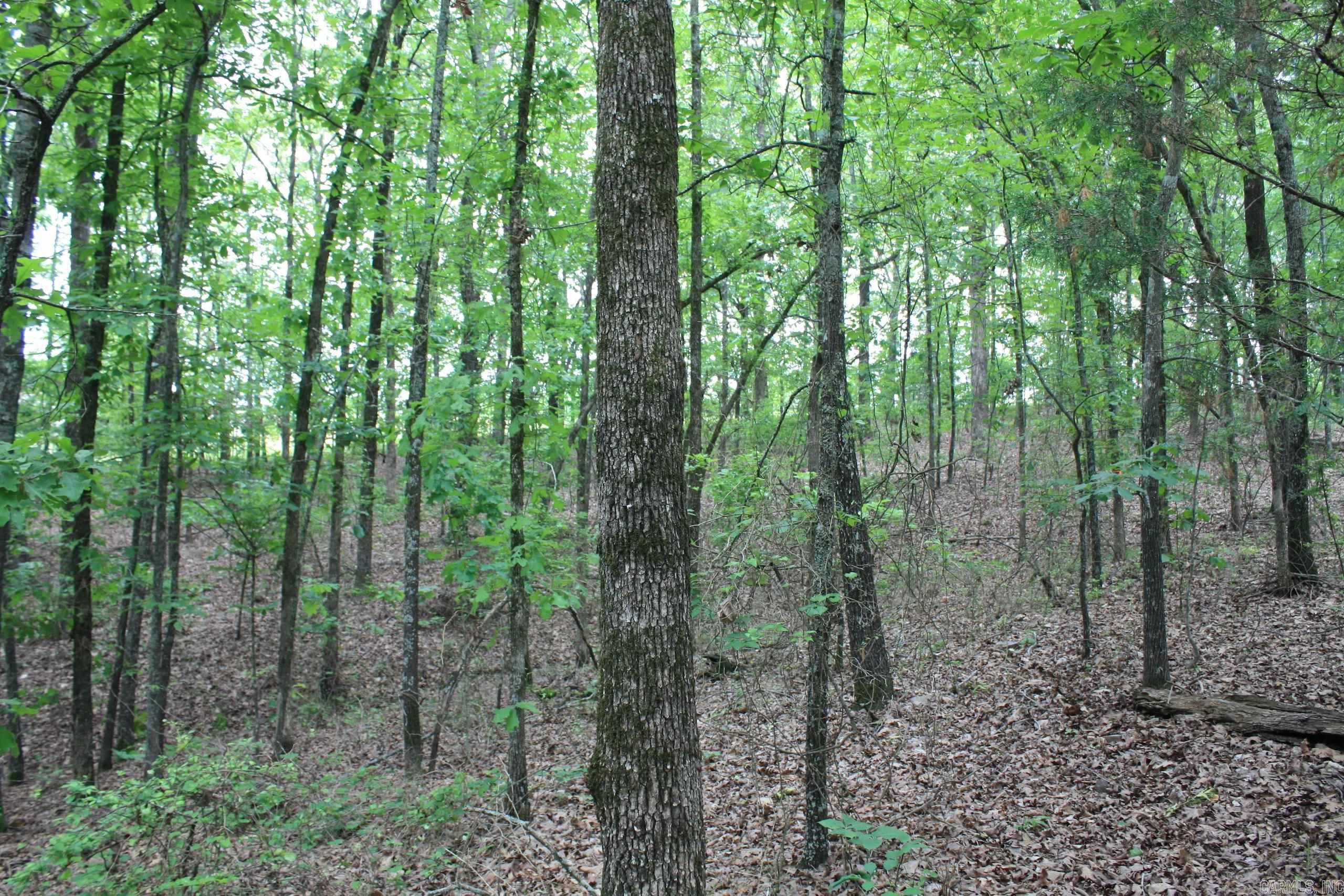 Not in Subdivision - Land