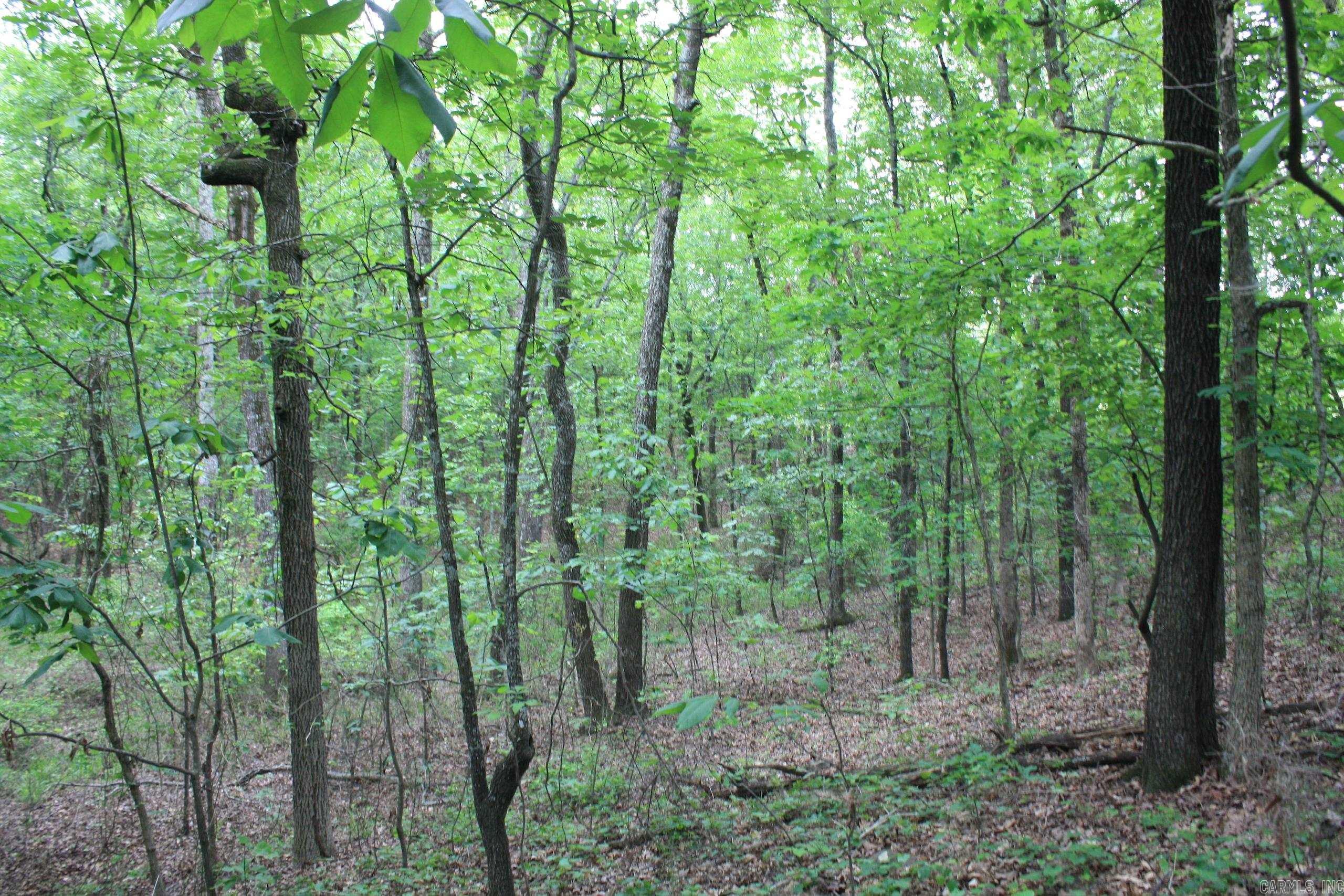 Not in Subdivision - Land