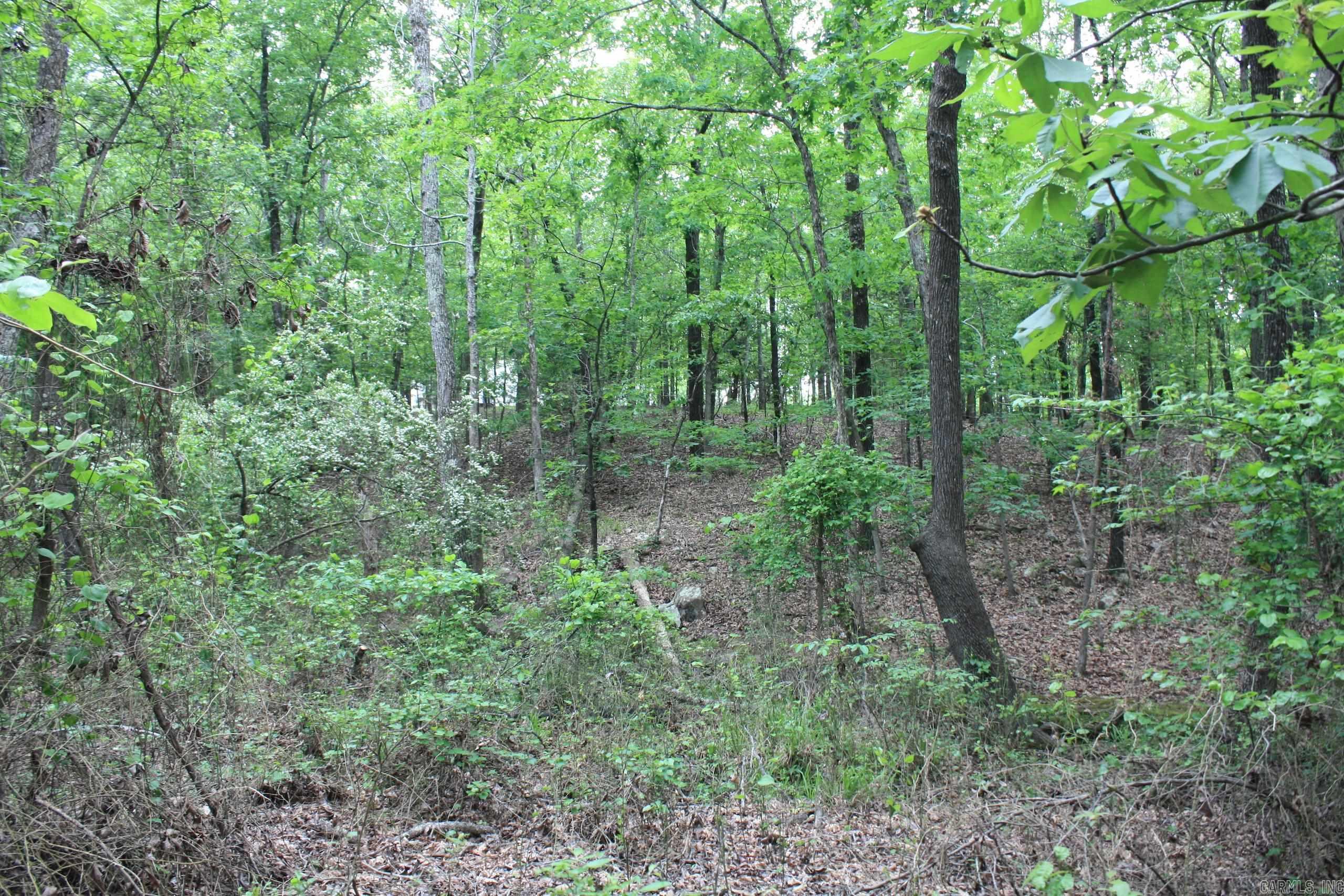 Not in Subdivision - Land