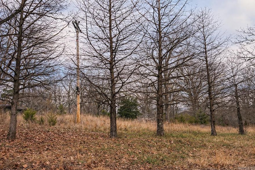 PRIME CORNER LOT IN THE HEART OF WILLIFORD, AR  Discover this versatile 2.95± acre corner lot located in the heart of Williford, Arkansas, just minutes from Hardy and near the entrance to Ozark Acres. This well-positioned property offers excellent potential for residential, commercial, or recreational use, making it a great fit for builders, investors, or those seeking a convenient yet quiet location.  With frontage on two sides and extending to an additional corner just down the road, the property provides increased visibility, access, and flexibility for future development. A Dollar General within walking distance adds everyday convenience, while nearby Hardy offers shopping, dining, and community events.  Utilities are already in place, including electricity, public water, and fiber optic internet—an added advantage for modern living or business use. Enjoy the balance of small-town charm and accessibility in a growing area.  If you’re looking for acreage with location, utilities, and multiple-use potential, this Williford property is an opportunity you won’t want to miss.