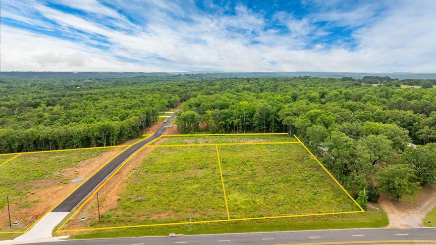 High Visibility location on Hwy 65 with a high traffic count. One acre parcels available that could be combined for up to 3 acres together. 6 acres total commercial land available. Sky Eagle Drive divides the two 3 acre parcels. Outside of the city limits with no restrictions. Property is cleared and ready to build