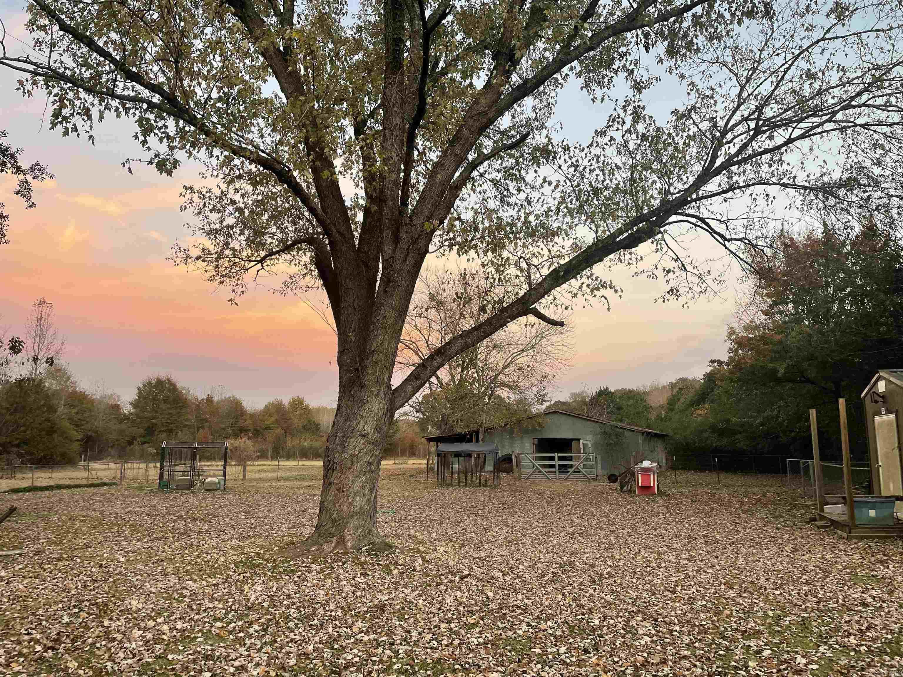 WARD CITY AREA - Residential