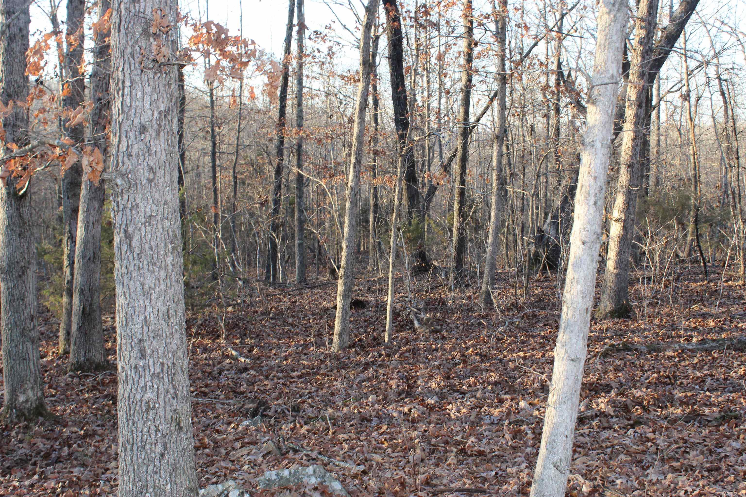 Not in Subdivision - Land