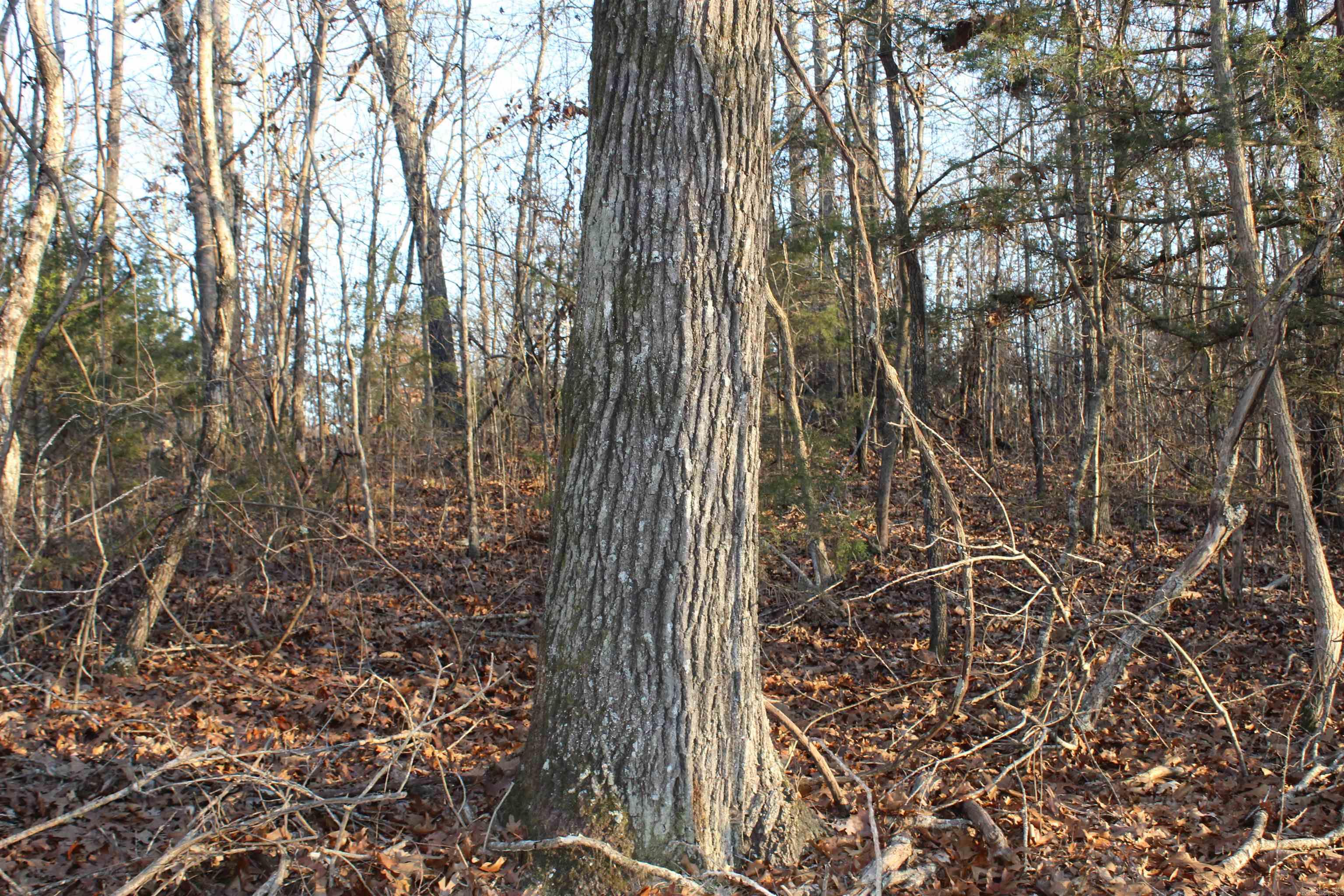 Not in Subdivision - Land