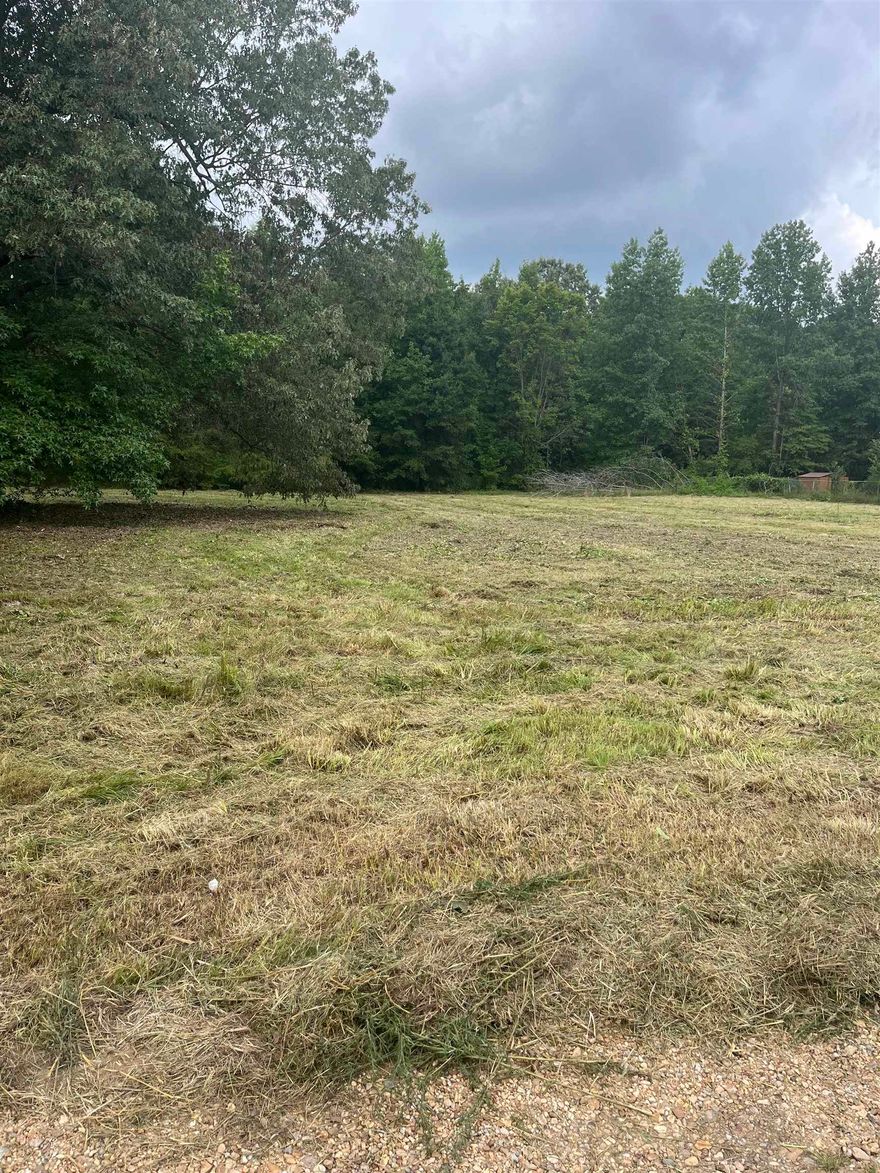 This unique 1.13 acre lot in Paragould city limits is ready for new owners! It is on a private access drive off of Goldsmith Road. With city water and electric available, this property is currently zoned agricultural. Please see additional agent remarks.