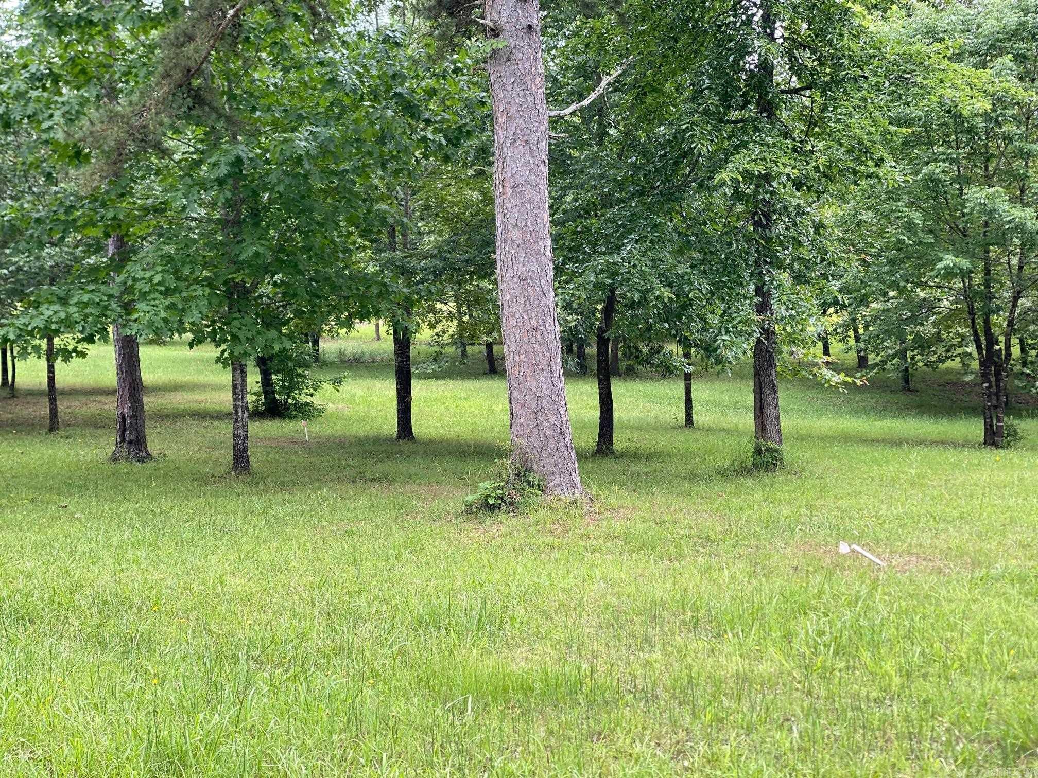 Bean Point Estates - Land