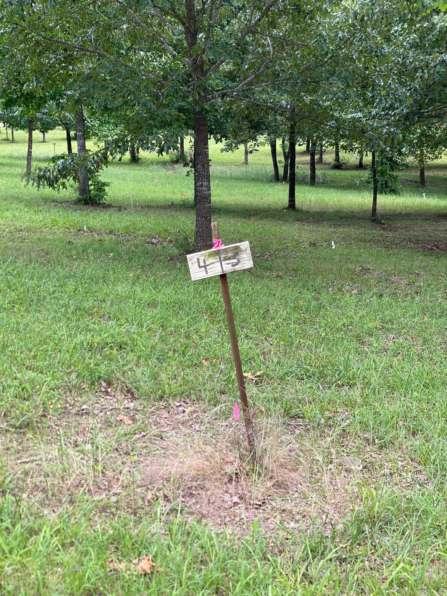 Bean Point Estates - Land