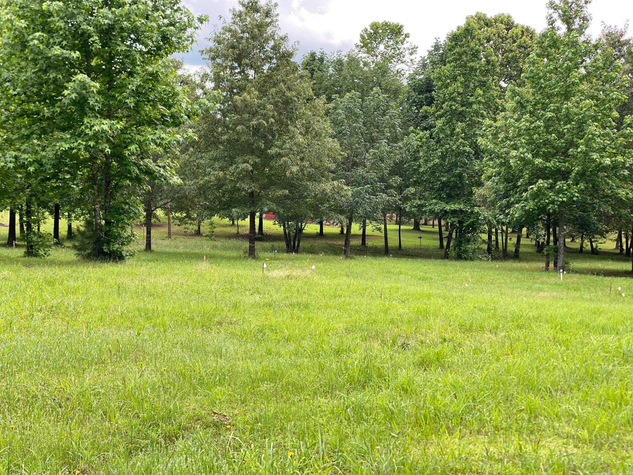 Bean Point Estates - Land