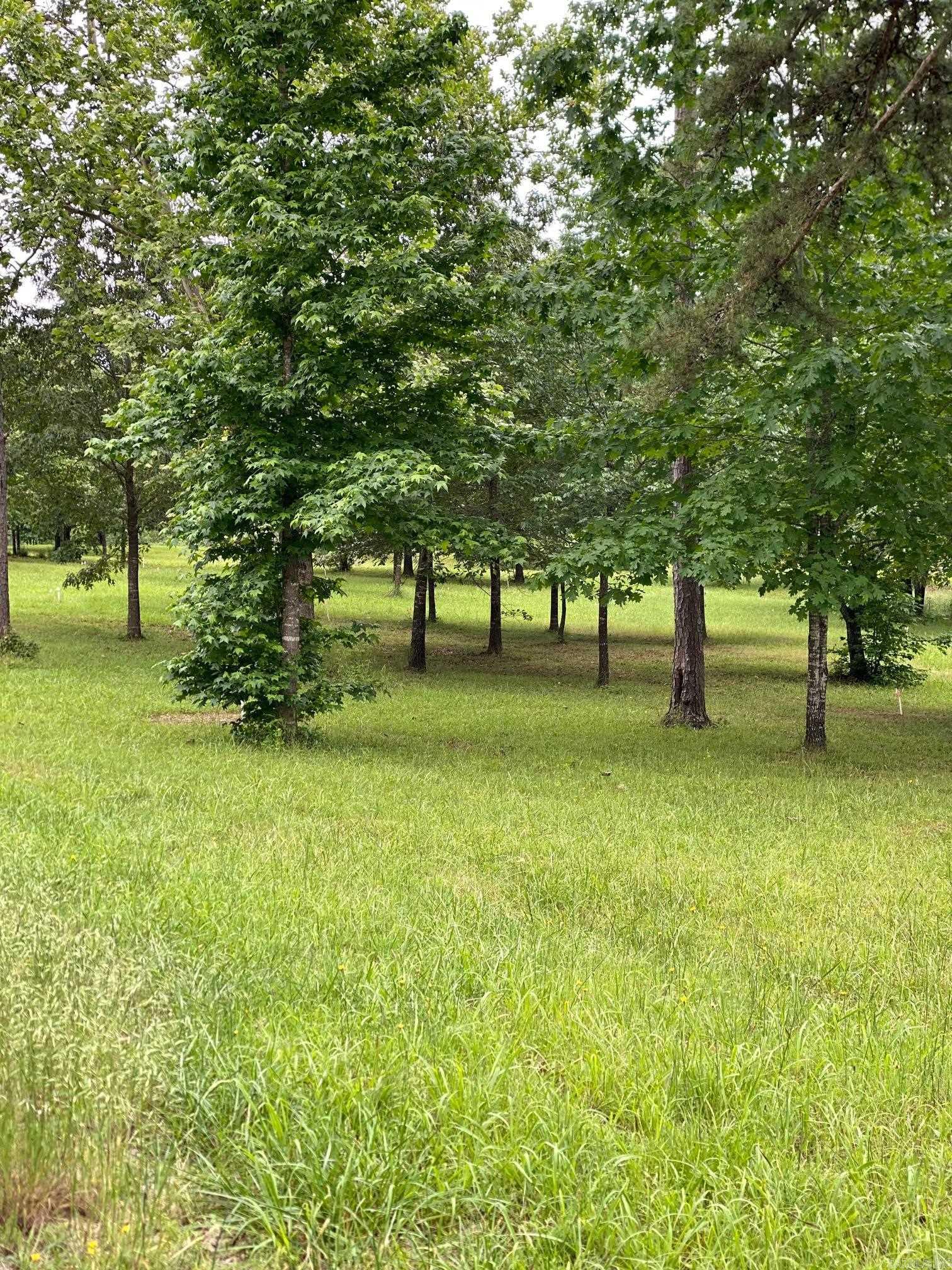 Bean Point Estates - Land