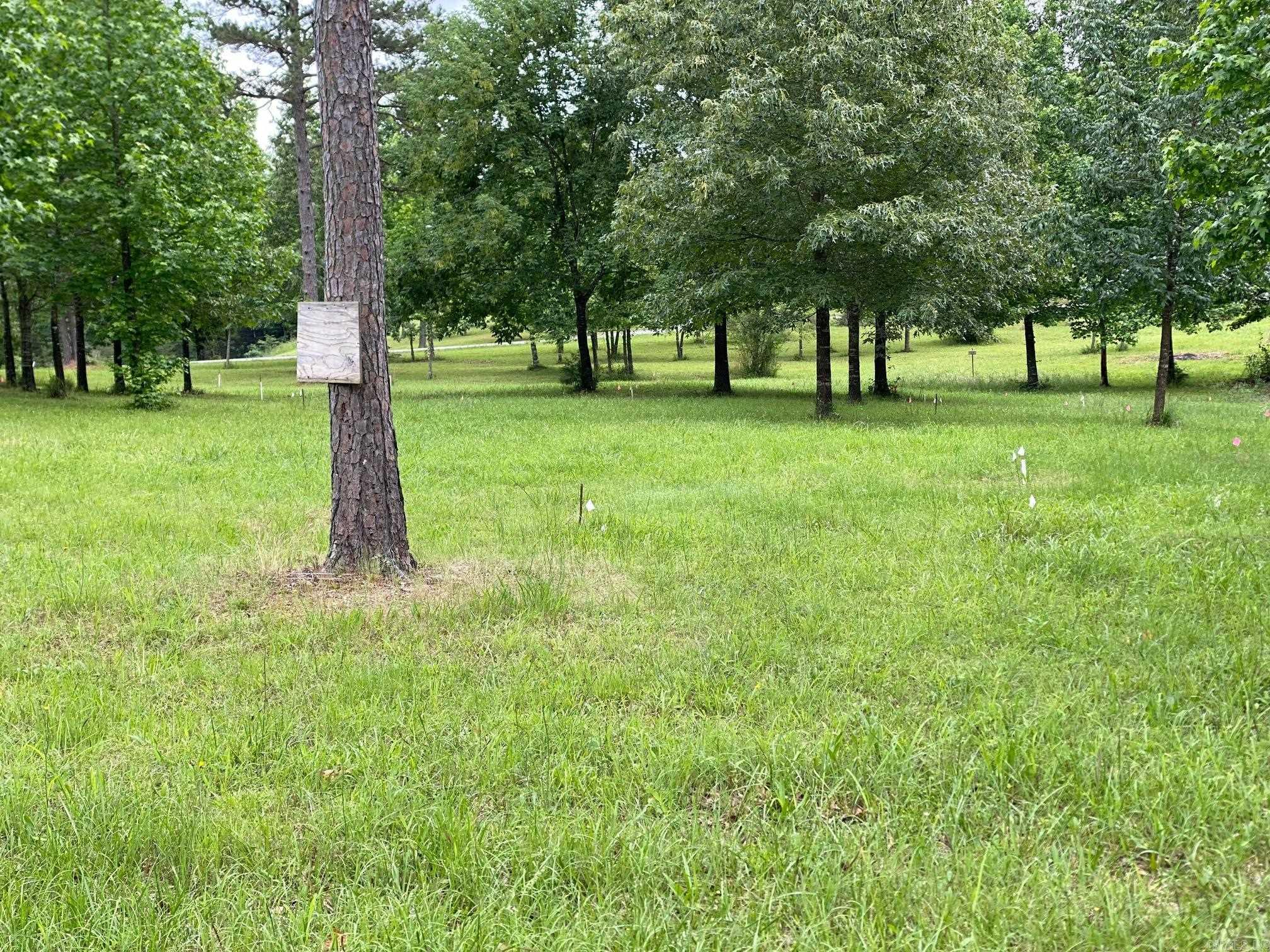 Bean Point Estates - Land