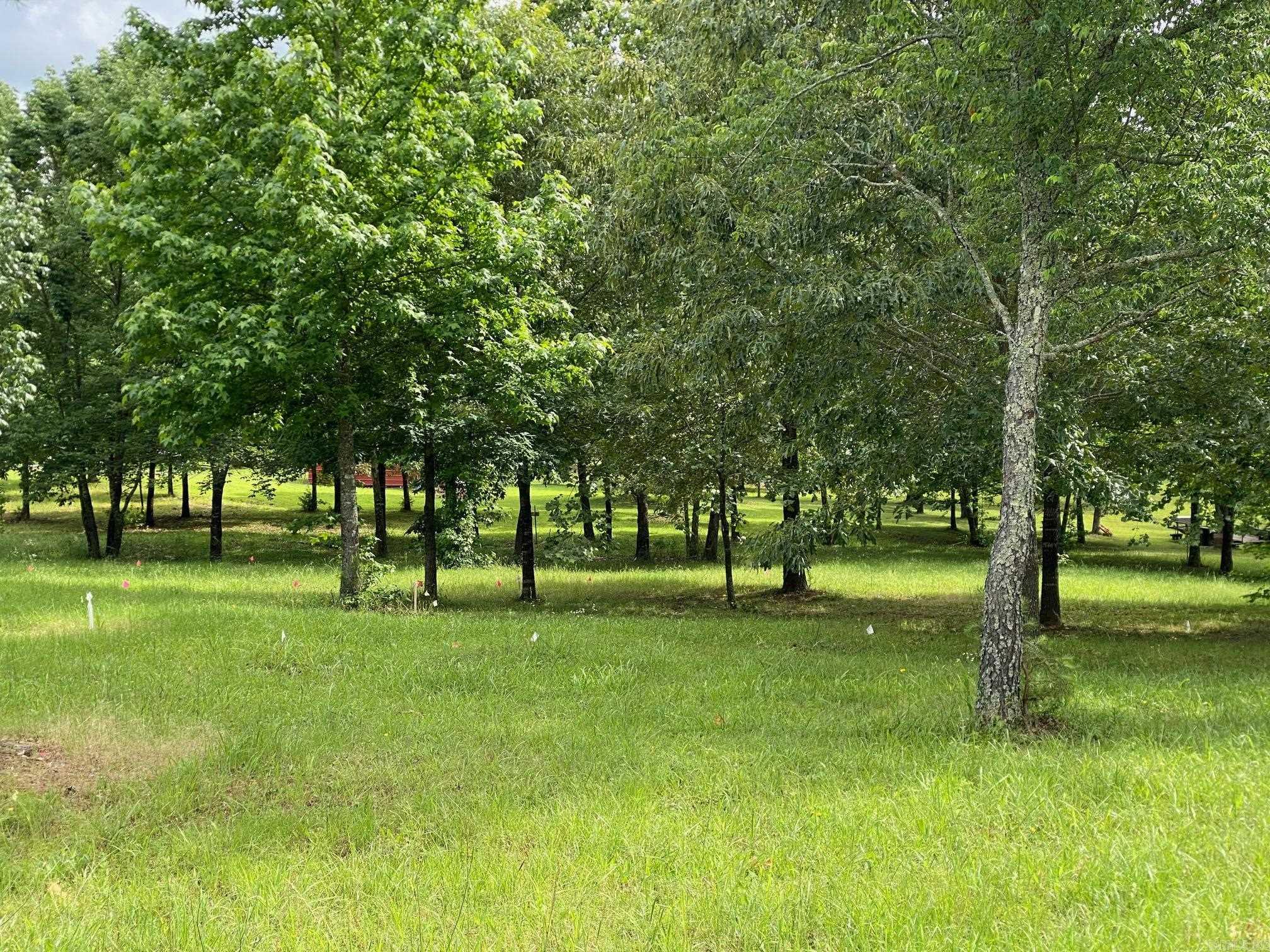 Bean Point Estates - Land