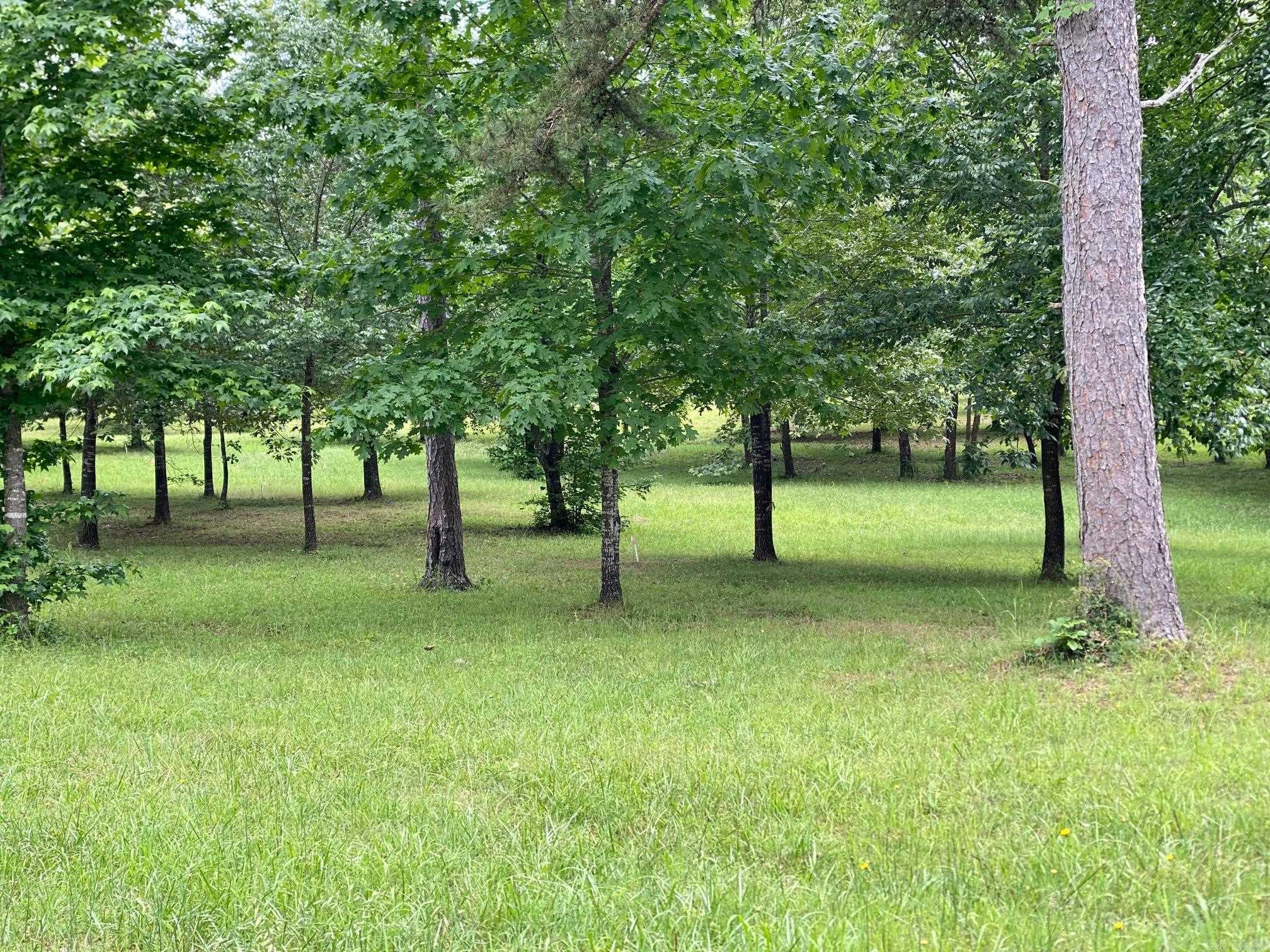 Bean Point Estates - Land