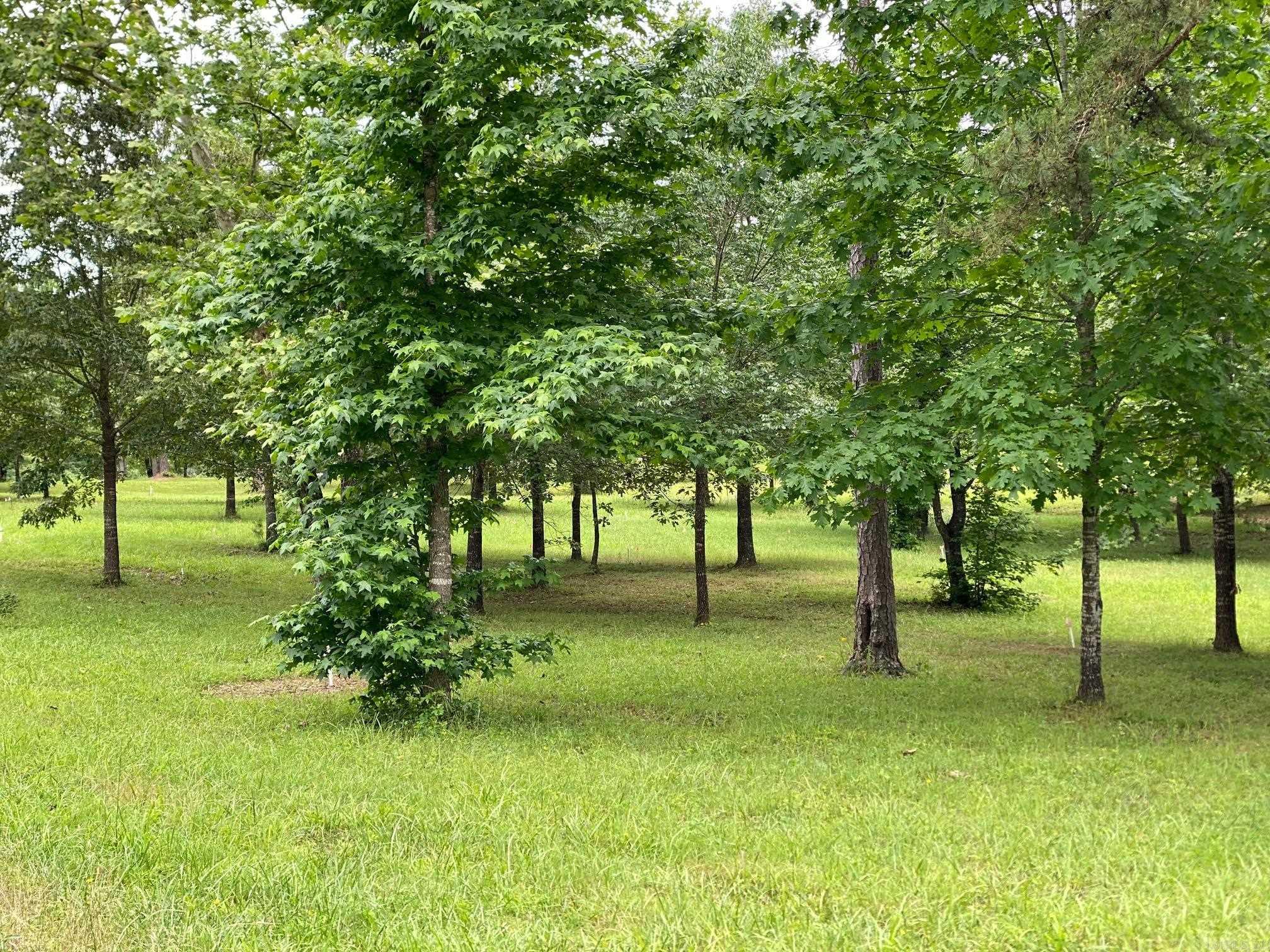 Bean Point Estates - Land