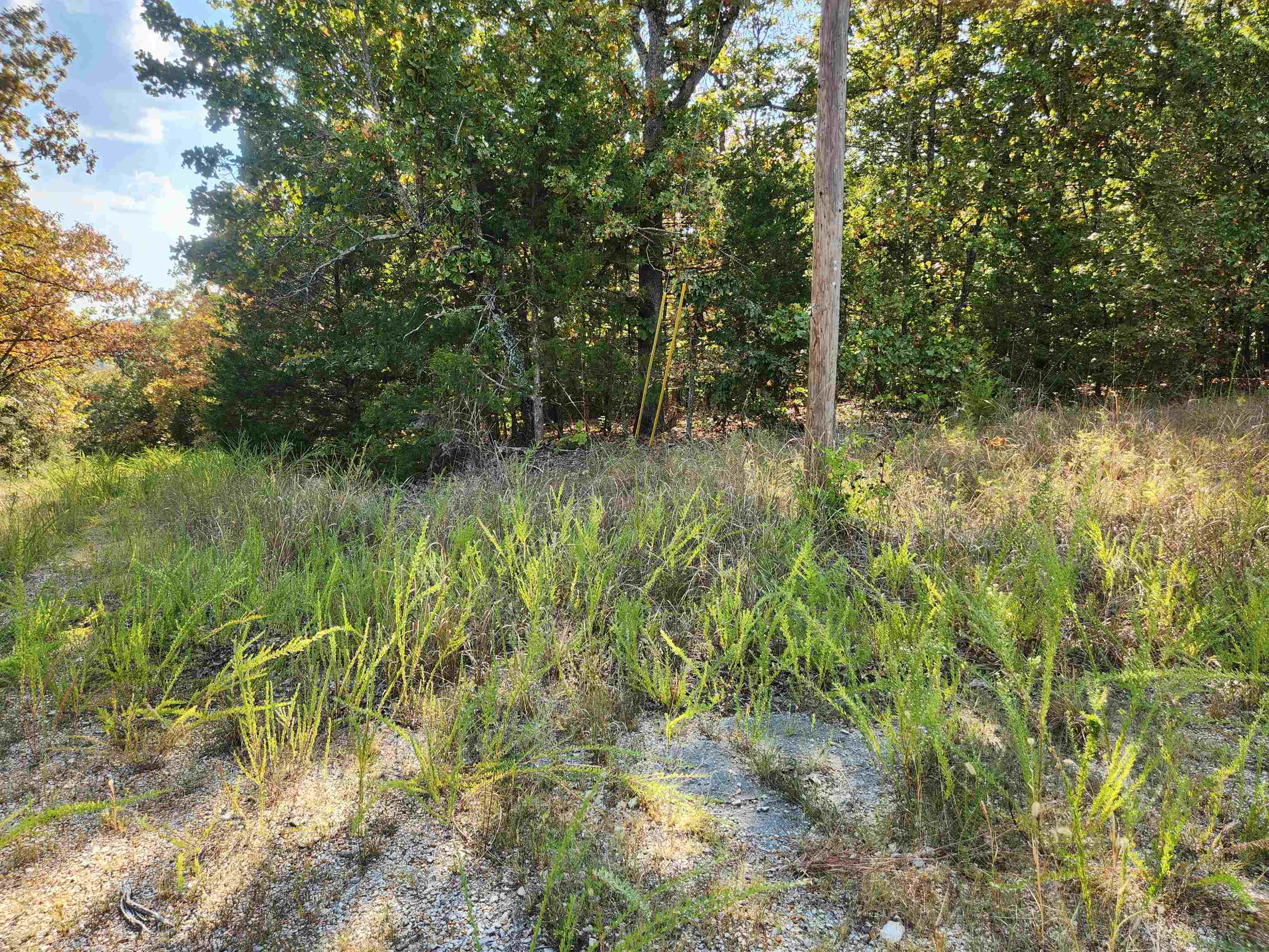 Secluded, mostly level, corner lot located on the West side of Cherokee Village. Near the Omaha Center and the South Golf Course but hidden away in the seclusion of the West side of Cherokee Village with no other neighbors nearby. Be the first one to build a home in this hidden little gem of an area. Private, quiet and serene. Not a neighbor in site, but you can get out on the highway quick as a hiccup. Come and get a look at this fantastic piece of property and pick your spot for your forever home or build a getaway vacation home. Close enough to the South Golf course to drive your cart but far enough to not worry about dodging errant balls. Don't forget that Cherokee Village has Two 18-hole golf courses to work on your game, 7 lakes to hone your fishing skills and the beautiful Southfork river running through it you are up for a lazy floating trip down the river. Come see this lot in person to get the feel of quiet village living.