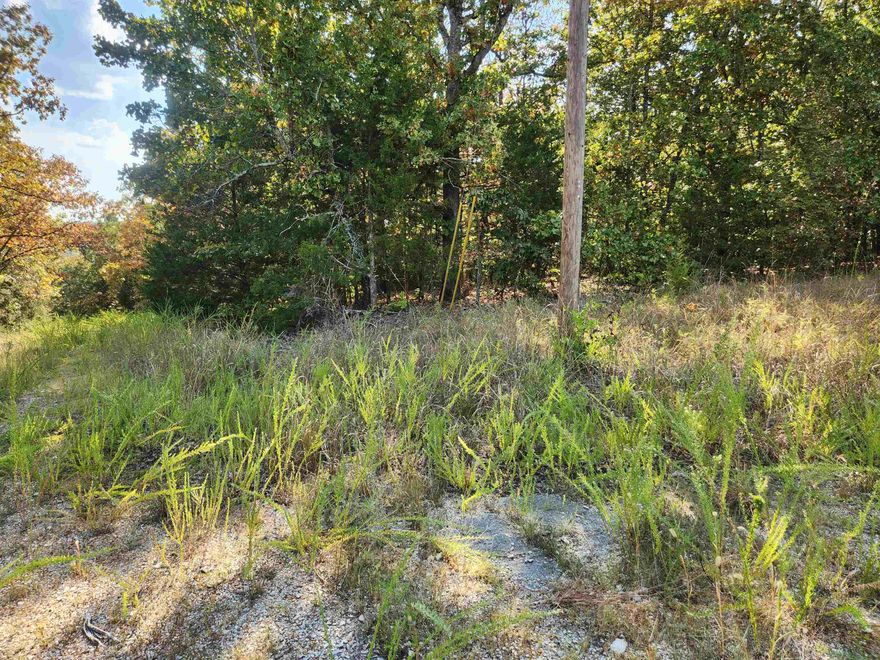 Secluded, mostly level, corner lot located on the West side of Cherokee Village. Near the Omaha Center and the South Golf Course but hidden away in the seclusion of the West side of Cherokee Village with no other neighbors nearby. Be the first one to build a home in this hidden little gem of an area. Private, quiet and serene. Not a neighbor in site, but you can get out on the highway quick as a hiccup. Come and get a look at this fantastic piece of property and pick your spot for your forever home or build a getaway vacation home. Close enough to the South Golf course to drive your cart but far enough to not worry about dodging errant balls. Don't forget that Cherokee Village has Two 18-hole golf courses to work on your game, 7 lakes to hone your fishing skills and the beautiful Southfork river running through it you are up for a lazy floating trip down the river. Come see this lot in person to get the feel of quiet village living.