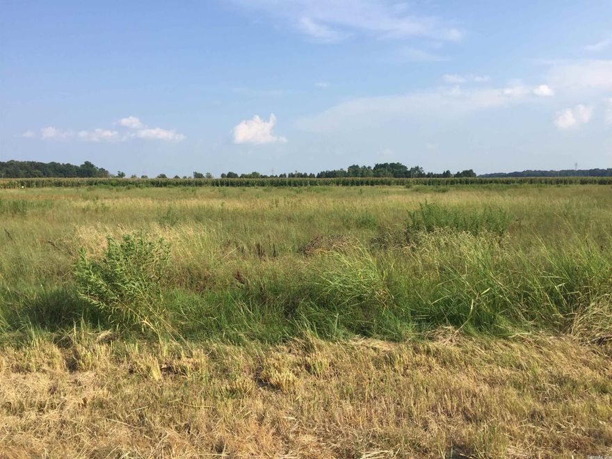 Tract "1" located in the beautiful Mound Lake Estates Subdivision.  Stoked lake to enjoy fishing or just sit back and take in the amazing scenery.