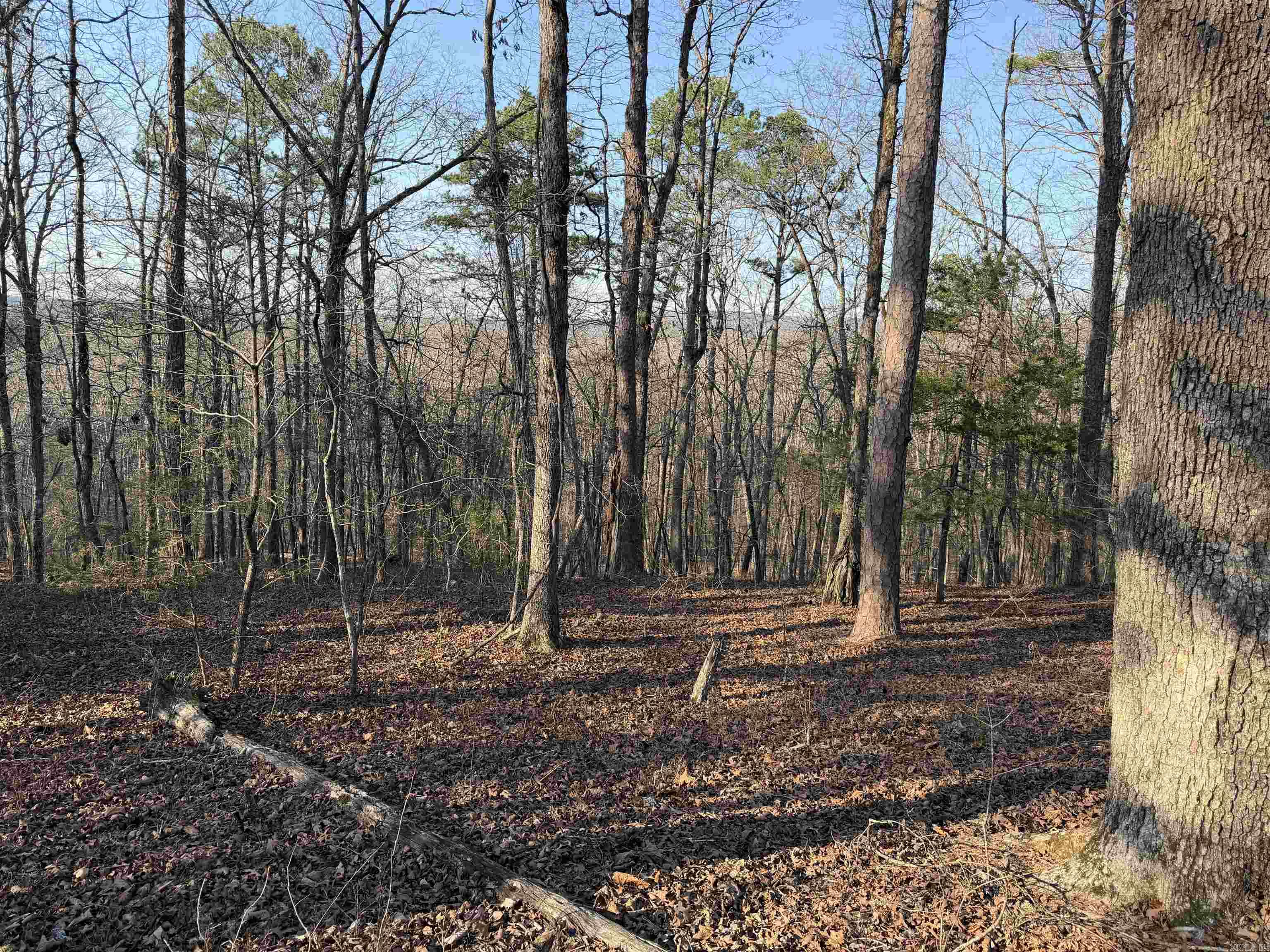 Metes & Bounds - Land