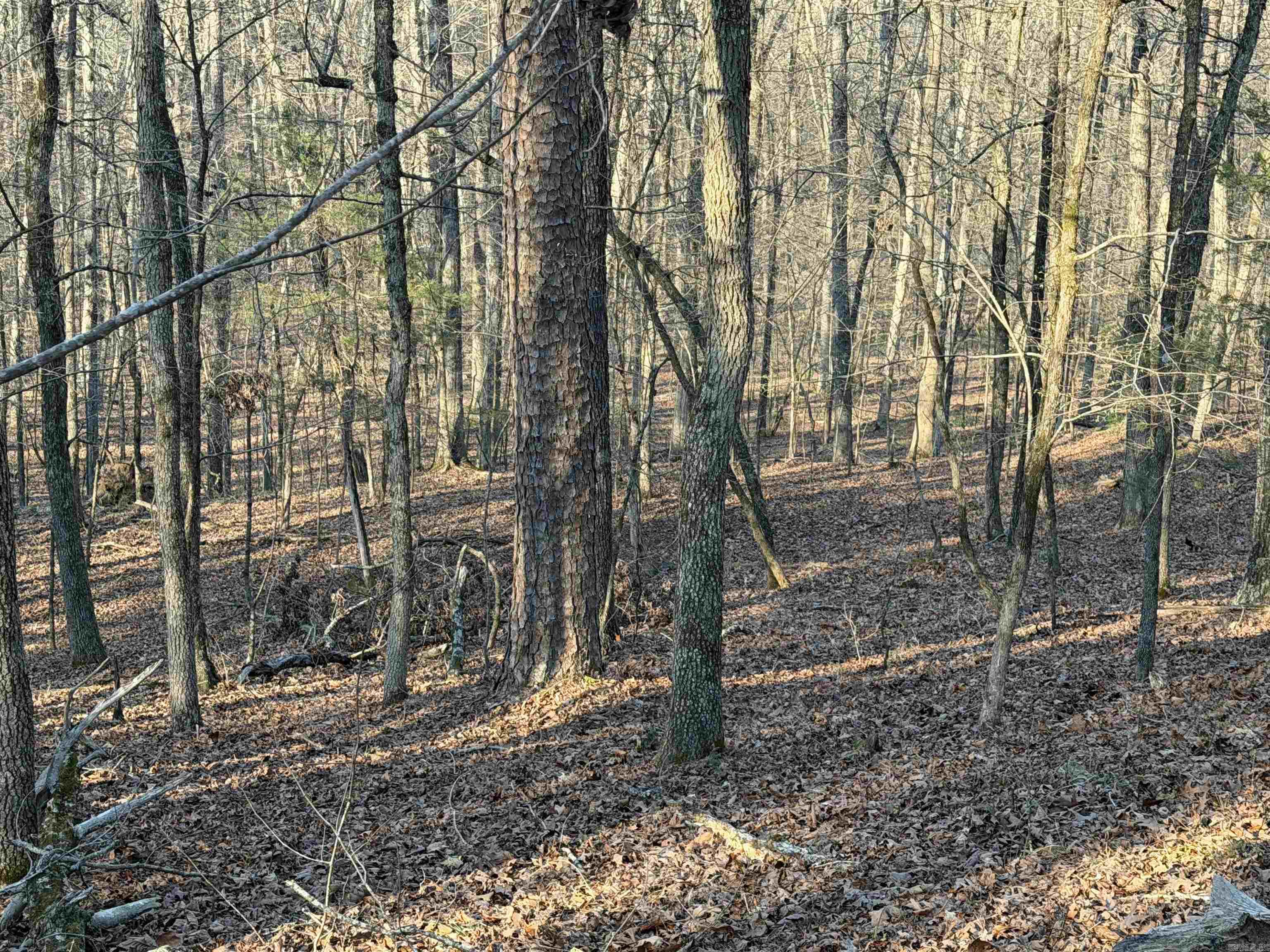 Metes & Bounds - Land