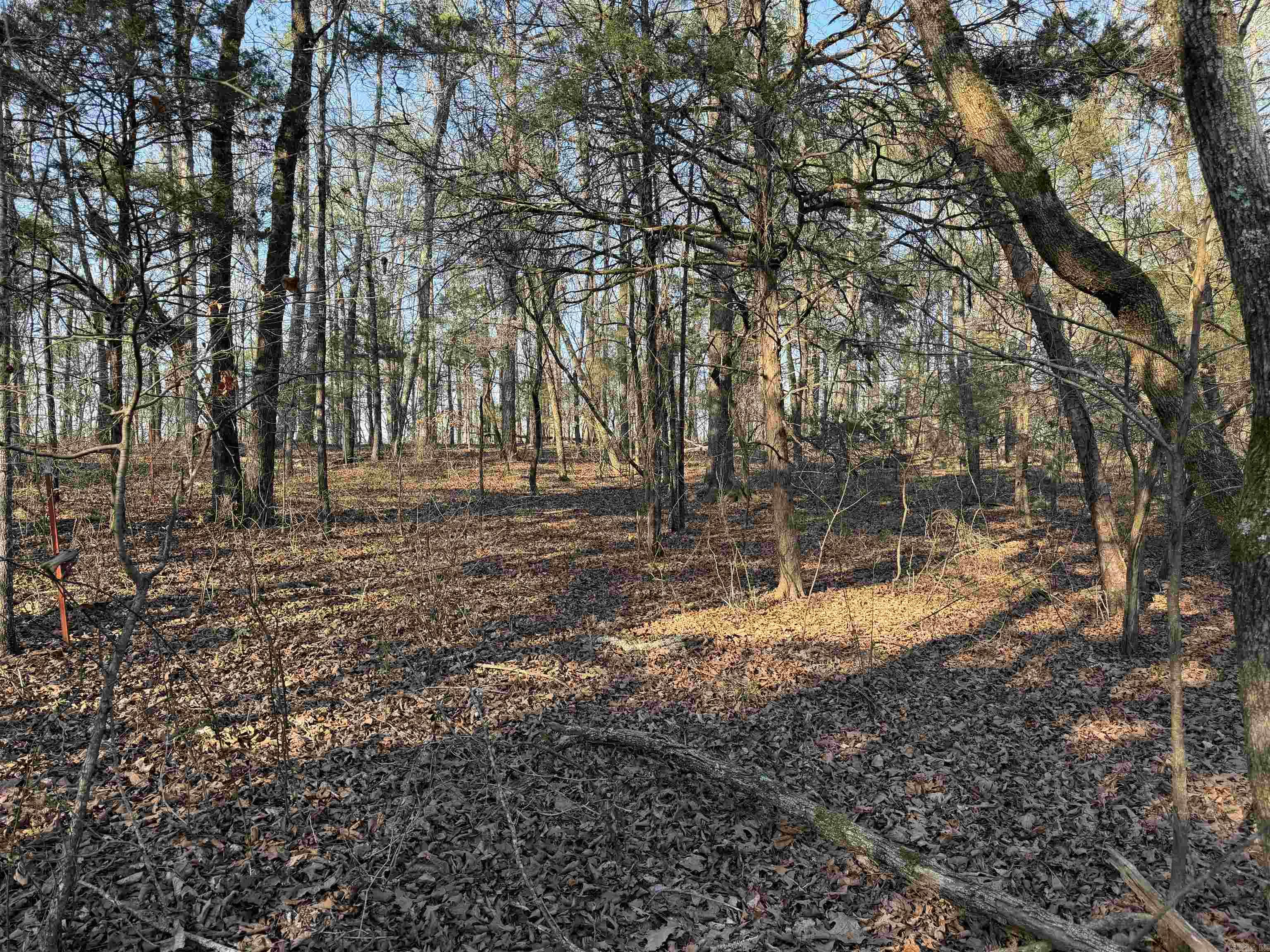 Metes & Bounds - Land