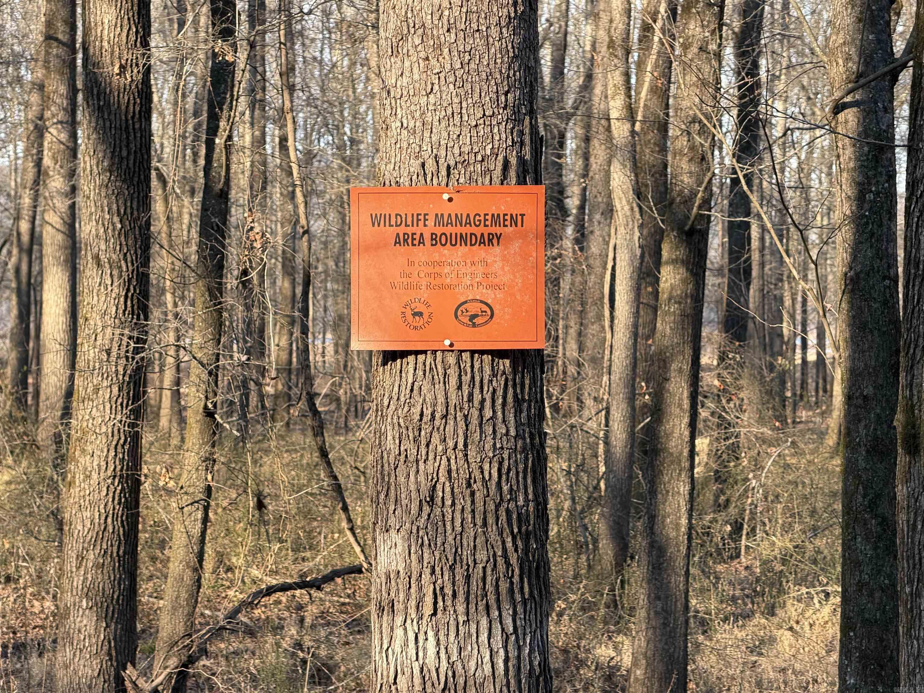 Metes & Bounds - Land