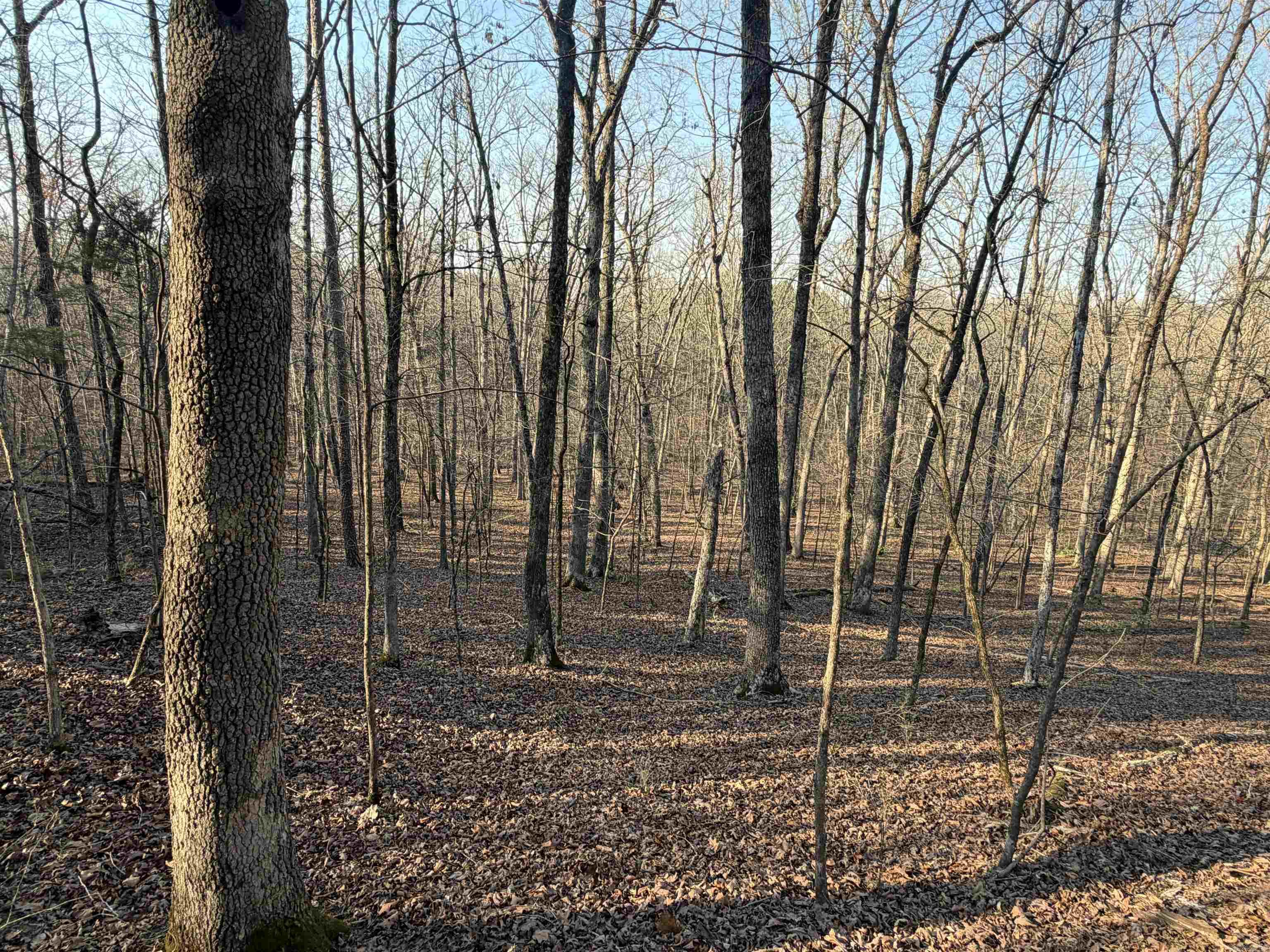 Metes & Bounds - Land