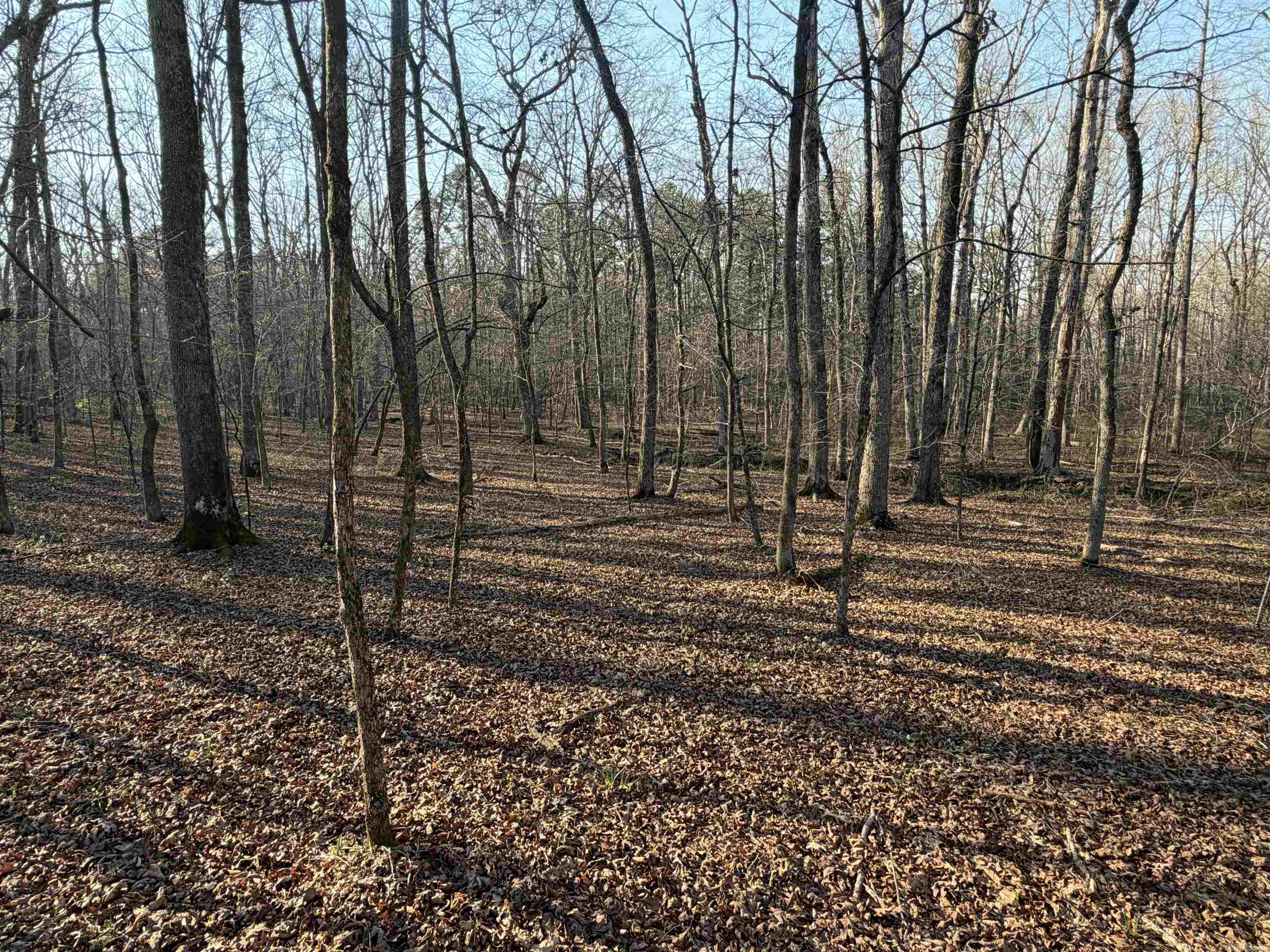 Metes & Bounds - Land