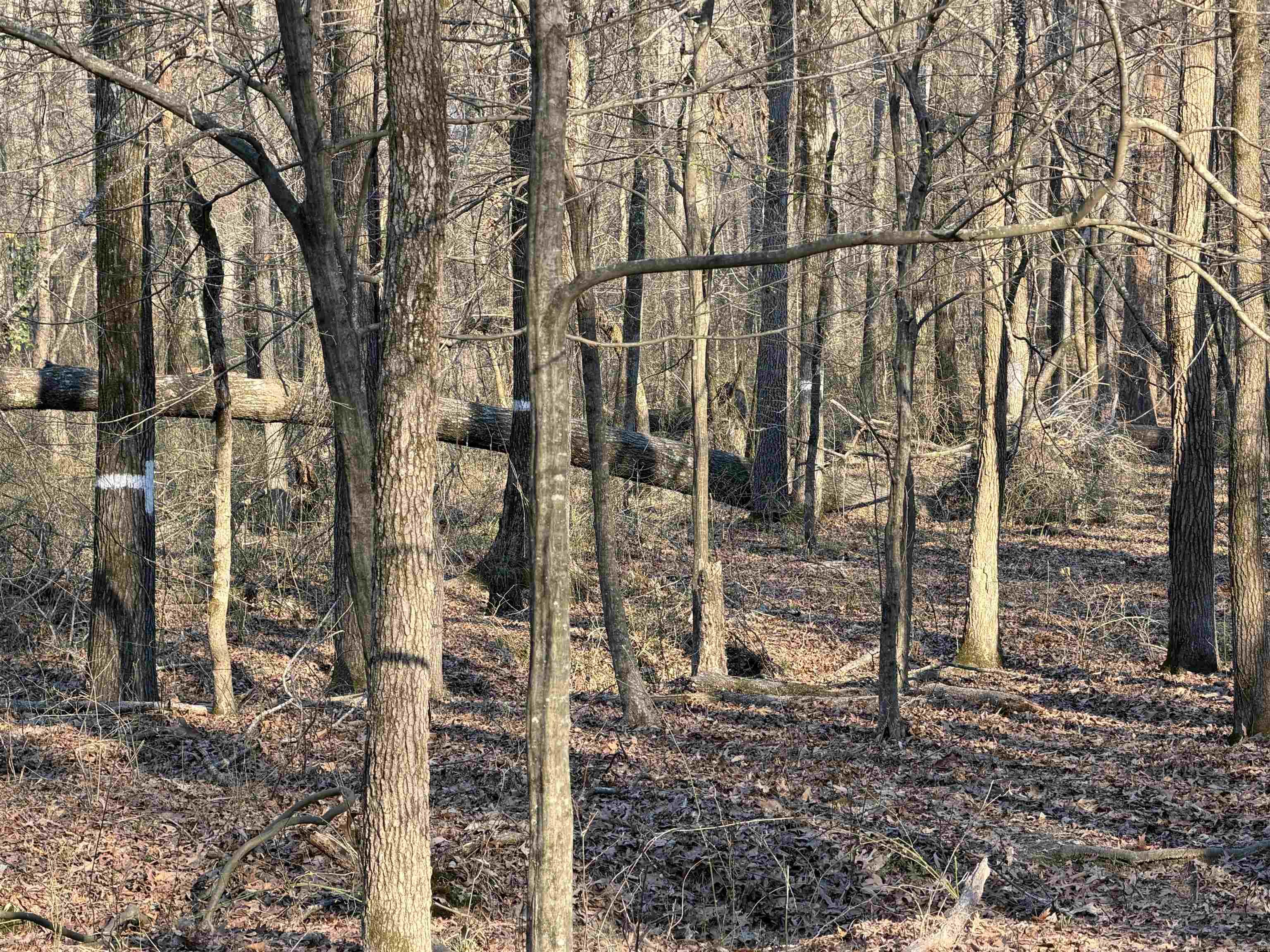 Metes & Bounds - Land