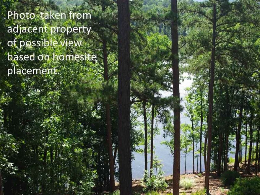 Pick your homesite to maximize the dramatic views of the lake, cliffs and Sugar Loaf Mountain. Lots of rock features to enhance your landscaping. An ideal setting for your full time or “weekender” lake home, this lot is on a paved road with utilities available. . Close to golf courses, marina, and all other FFB amenities, yet a world apart – providing serenity, privacy, and splendor.