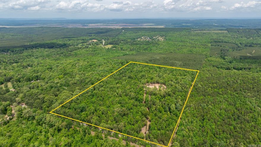 ABSOLUTELY NO RESTRICTIONS on this stunning 20.93-acre tract that backs up to Delta Timber Land—offering unmatched privacy, serenity, and the raw beauty of Arkansas nature at its finest. This is more than land—it's a sanctuary. A private driveway is already in place, leading to a cleared and level homesite that’s ready for you to build your dream home. Water, electric, and even high-speed fiber internet are all available at the road—making it build-ready without the typical hassle. Walk through the already cut trails and fully experience the peace and true potential this land has to offer. Whether you're looking to homestead, hunt, escape the city, or simply invest in a rare trophy property, this land checks every box. No covenants, just pure opportunity. Properties like this don’t come around often. Come walk it, fall in love, and make it yours!