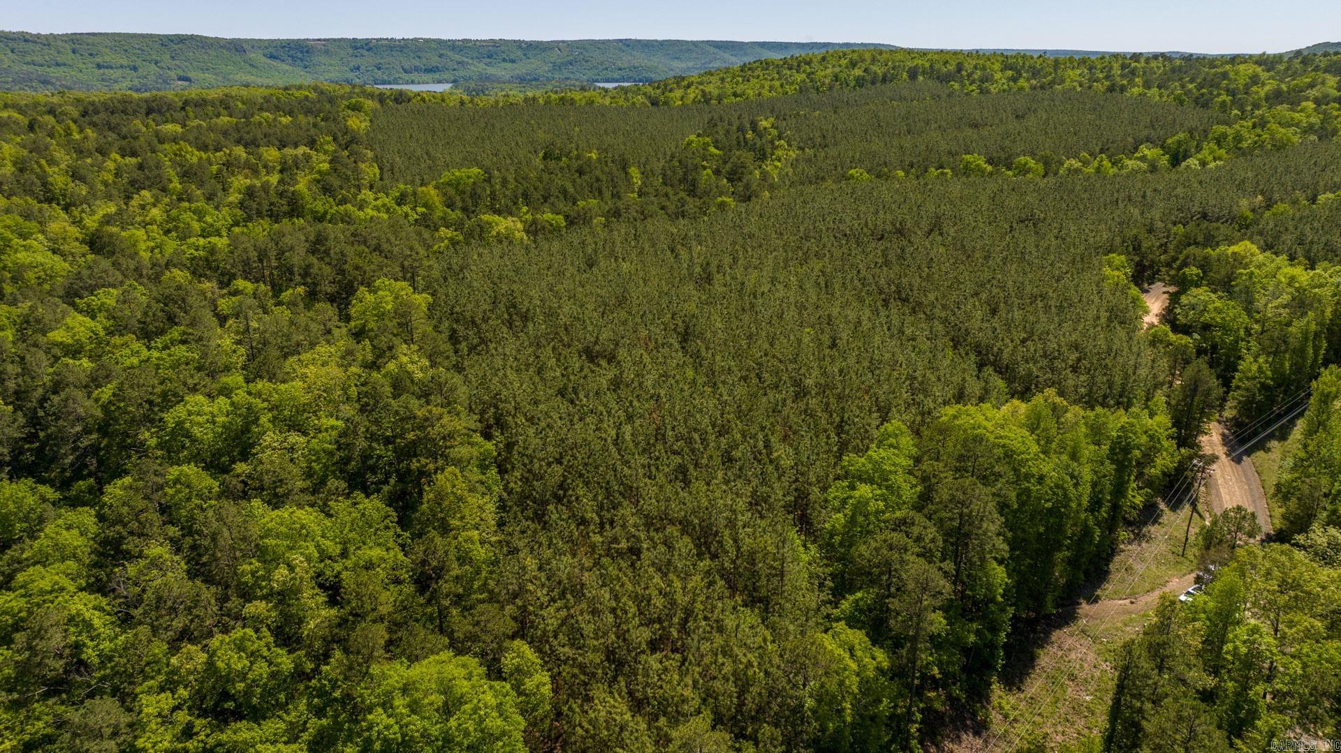 Have you been waiting for 10 acres with no restrictions close to the lake? Your search ends here at 000 Mountain Park Road in Clinton, Arkansas. Located 2.5 Miles from South Fork Rec Area, this property is a blank canvas ready for your vision; whether you're dreaming of your own private retreat or vacation get away, this land is ready for you to bring your plans to life. Petit Jean Electric and Fiber Optic Internet available at the road! Public water not available. Tract 6 is attached in documents! Taxes need to be verified!