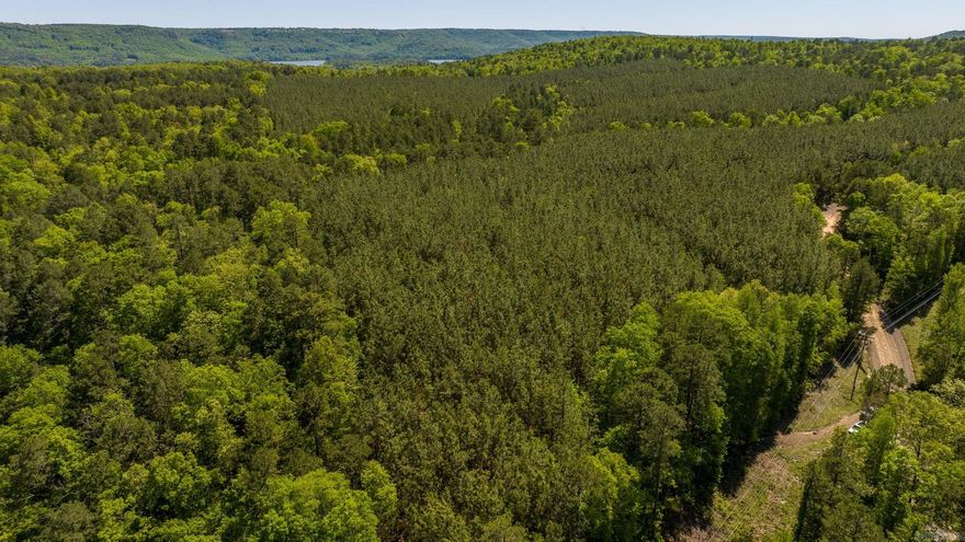 Have you been waiting for 10 acres with no restrictions close to the lake? Your search ends here at 000 Mountain Park Road in Clinton, Arkansas.  Located 2.5 Miles from South Fork Rec Area, this property is a blank canvas ready for your vision; whether you're dreaming of your own private retreat or vacation get away, this land is ready for you to bring your plans to life.  Petit Jean Electric and Fiber Optic Internet available at the road! Public water not available.  Tract 6 is attached in documents!  Taxes need to be verified!